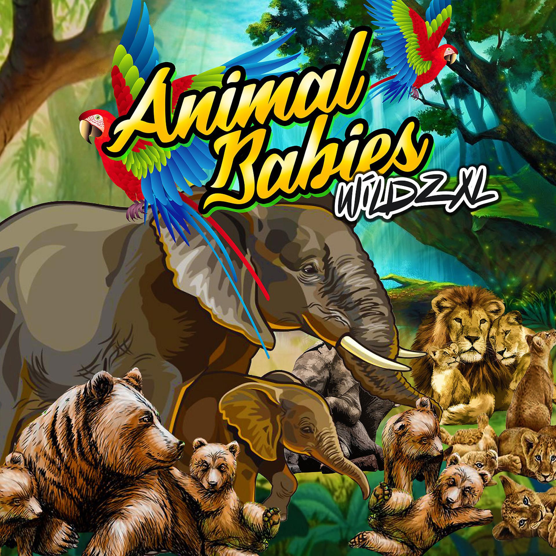 Постер альбома Animal Babies