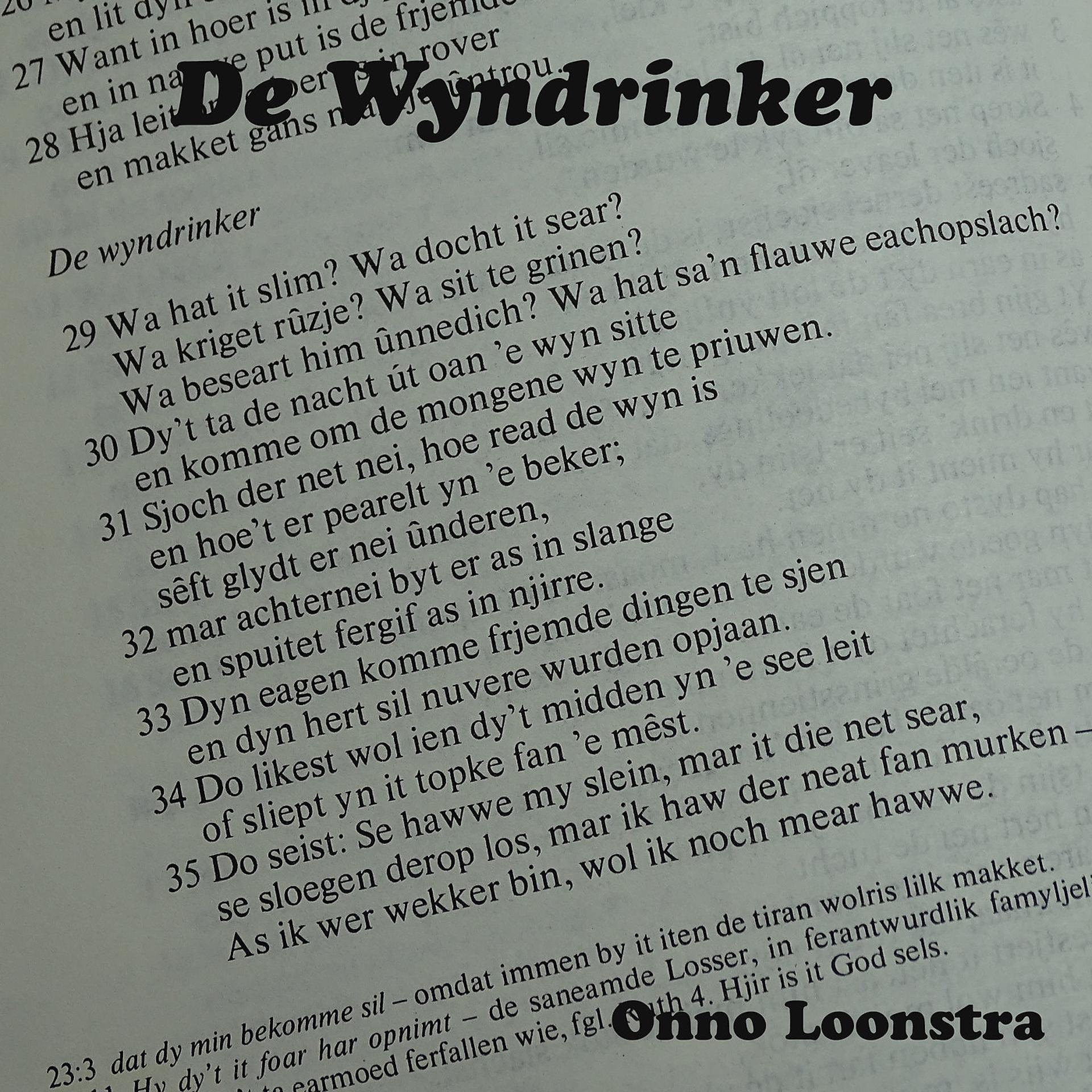 Постер альбома De Wyndrinker