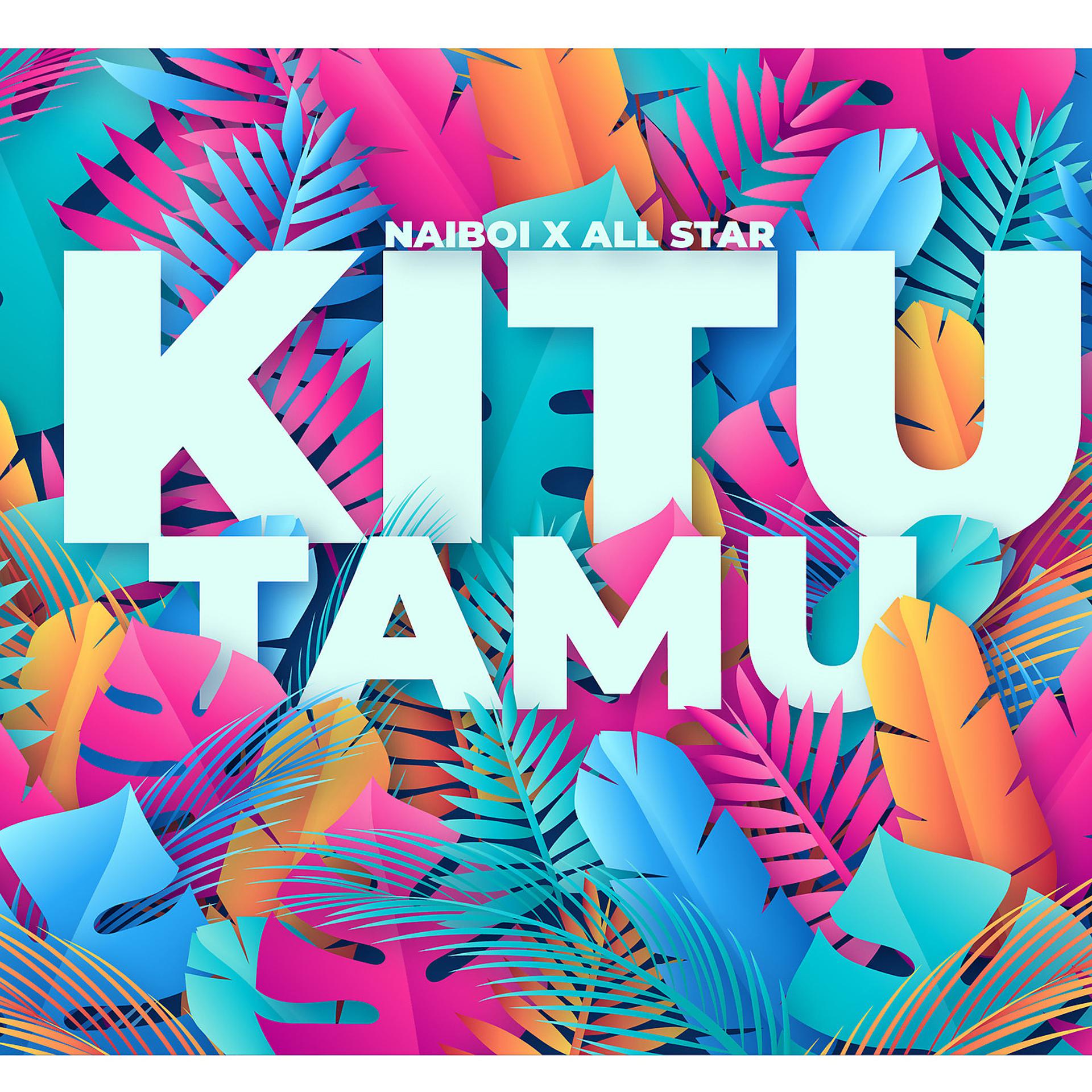 Постер альбома Kitu Tamu