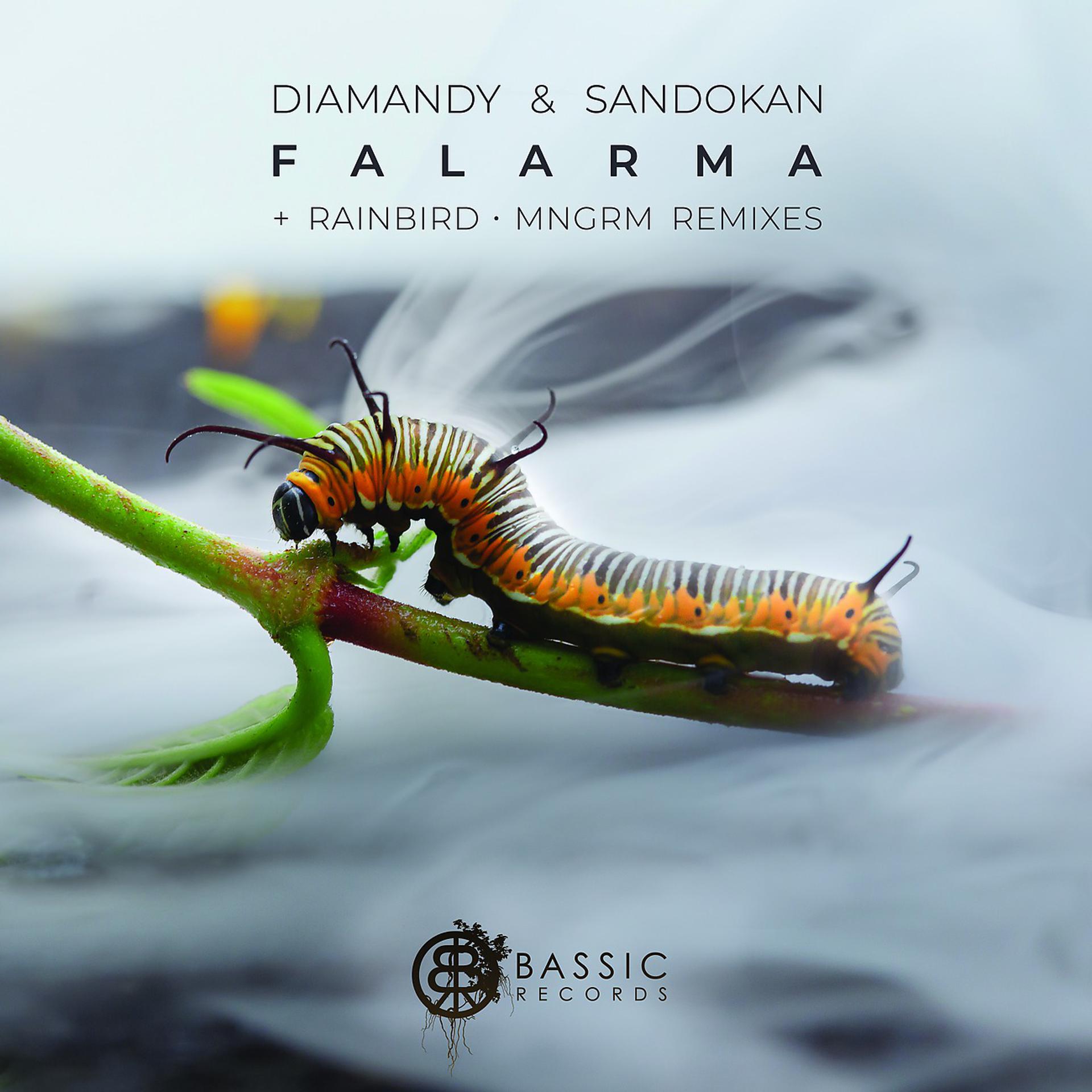 Постер альбома Falarma