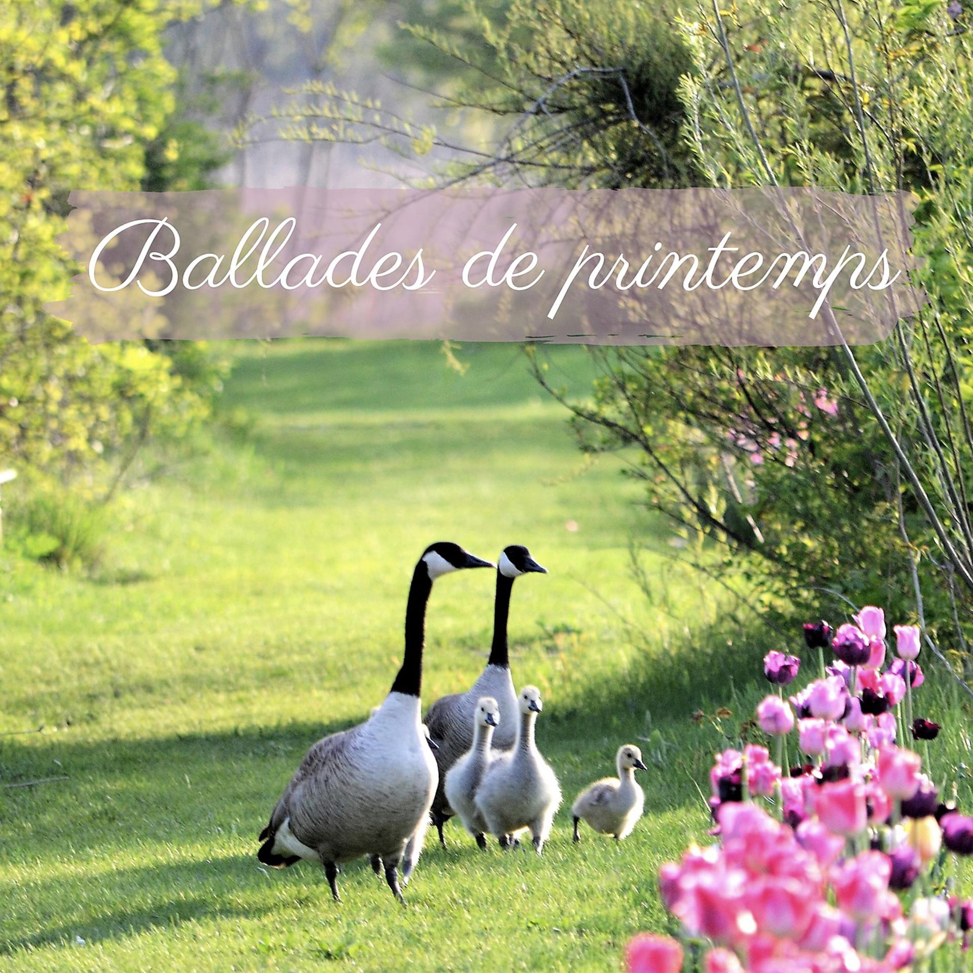 Постер альбома Ballades de printemps