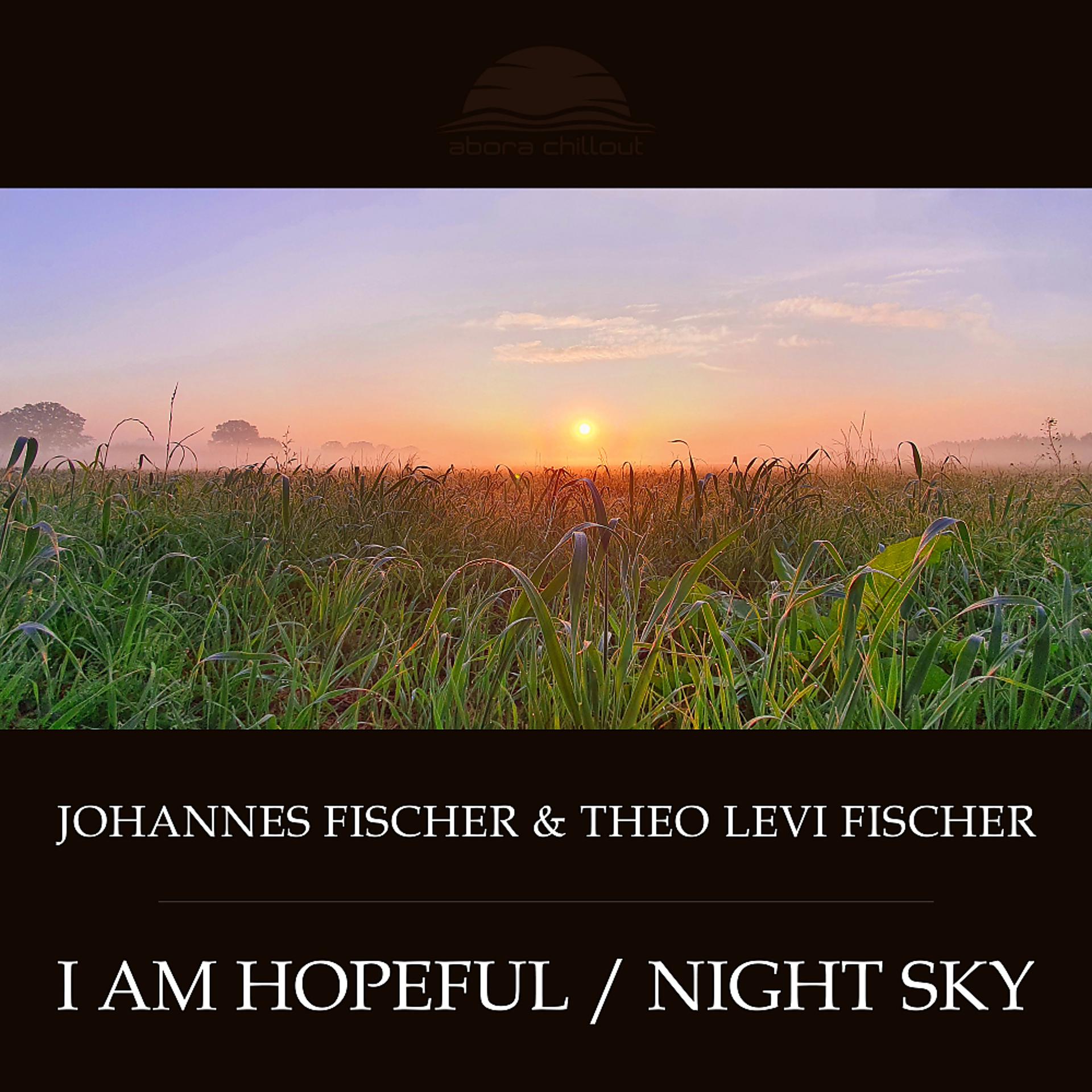 Постер альбома I Am Hopeful / Night Sky