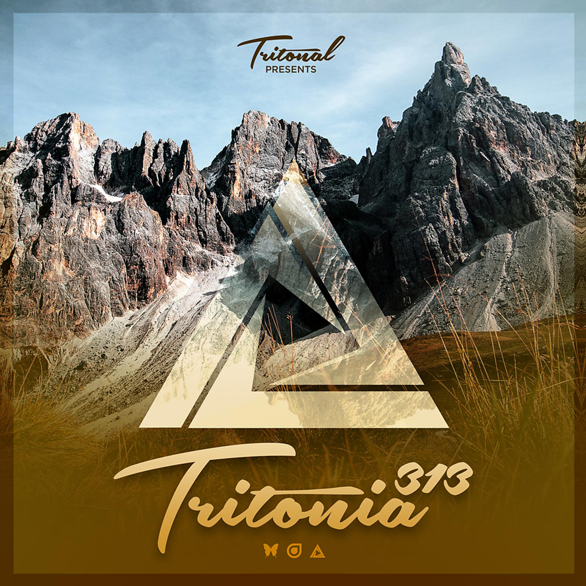 Постер альбома Tritonia 313