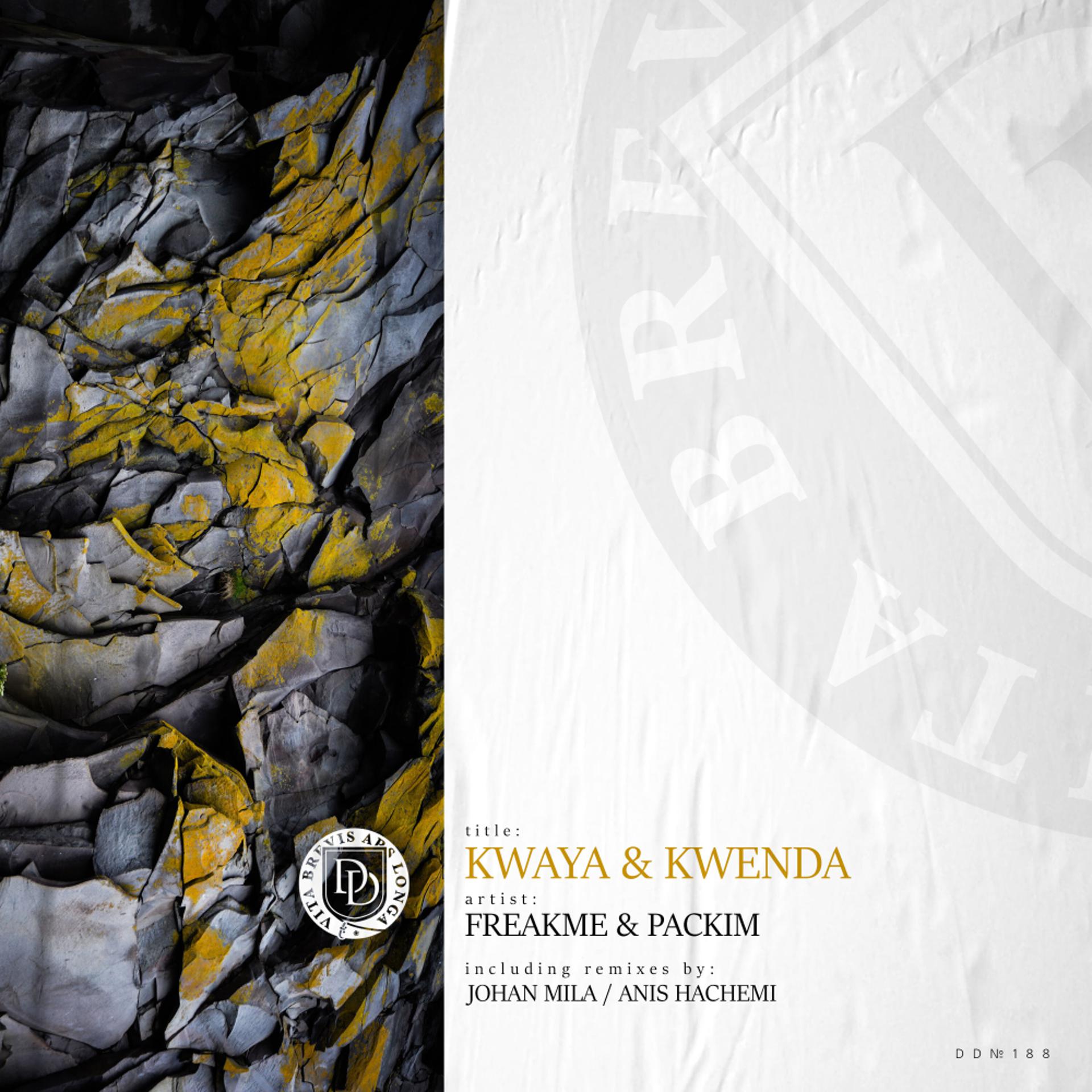 Постер альбома Kwaya & Kwenda