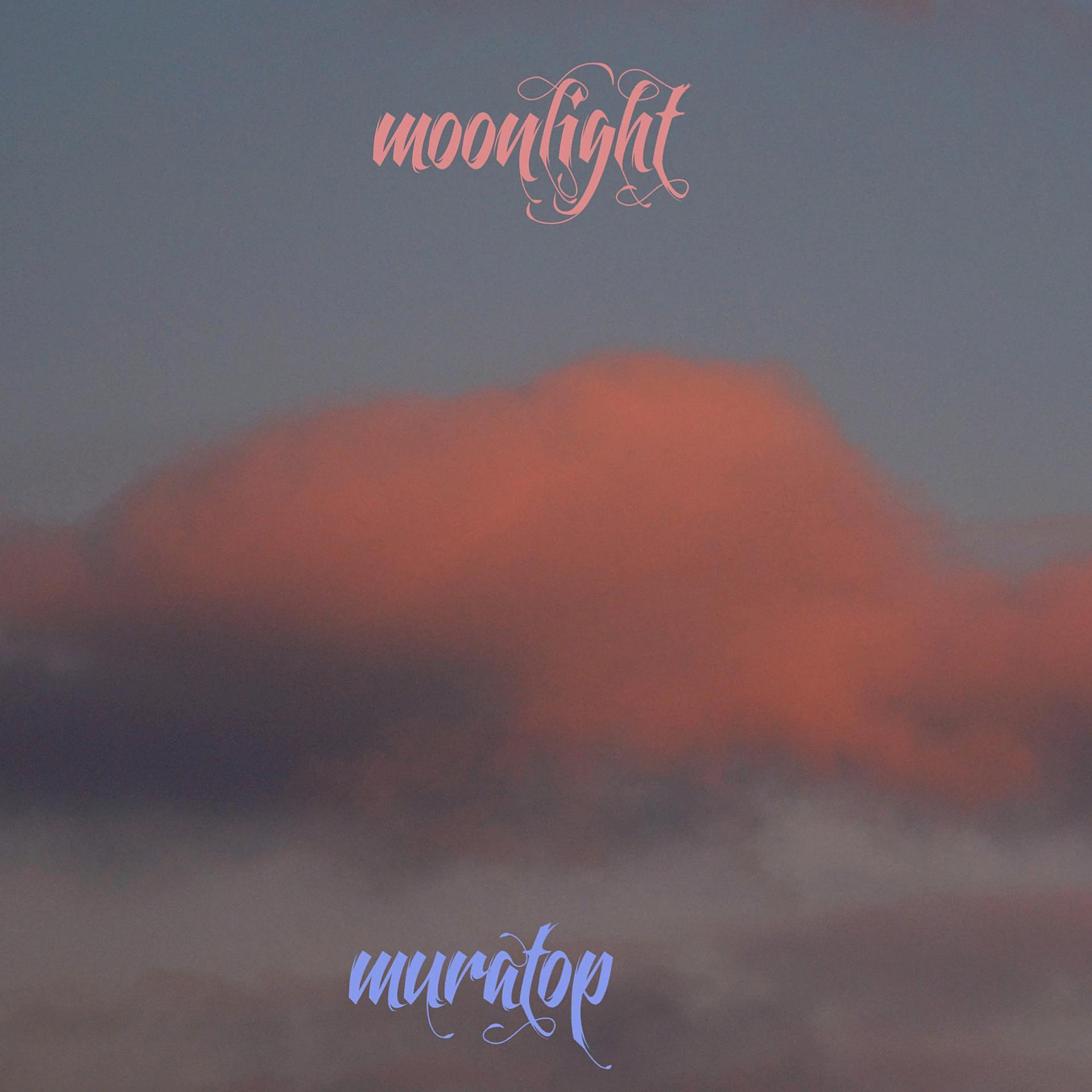 Постер альбома Moonlight