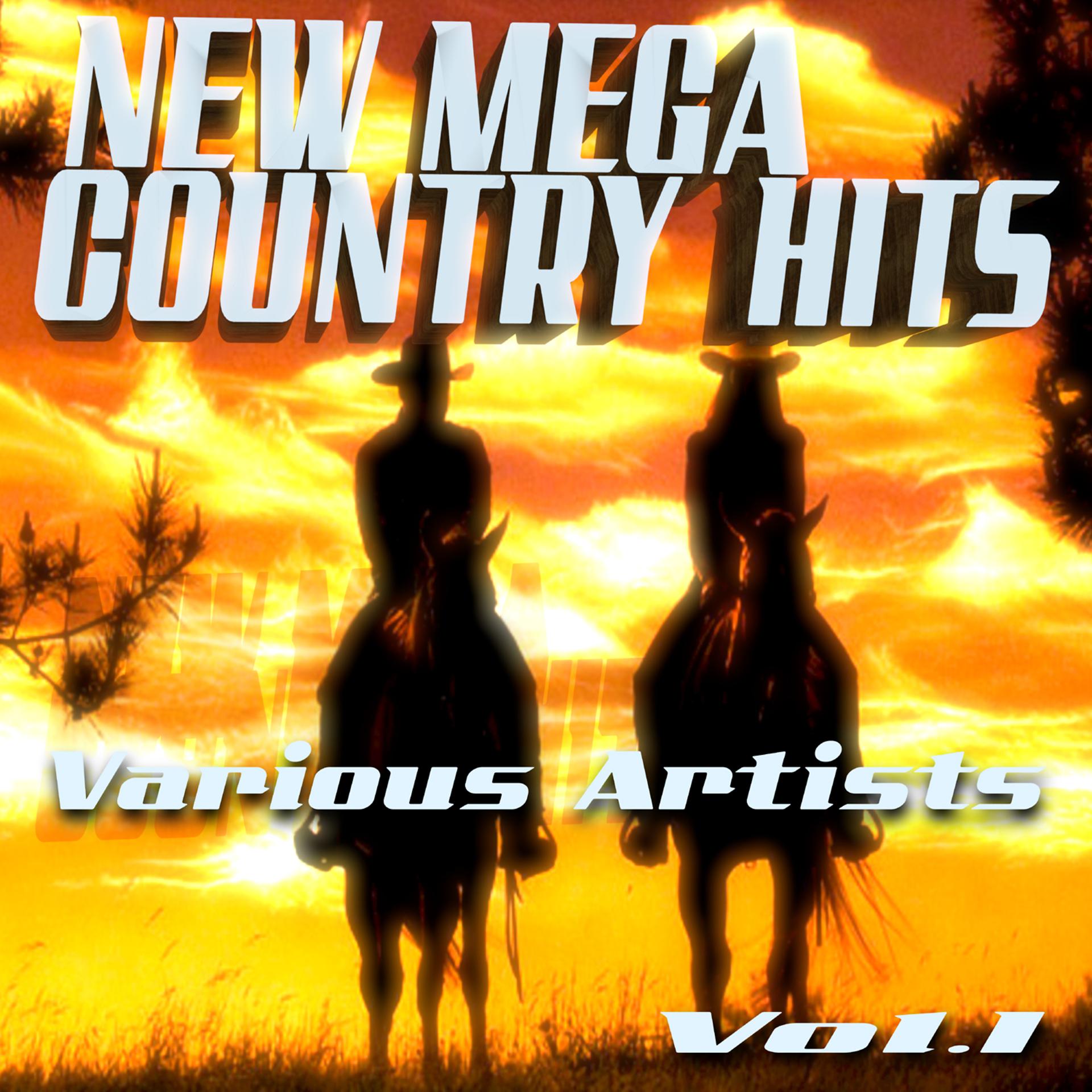 Постер альбома New Mega Country Hits, Vol. 1