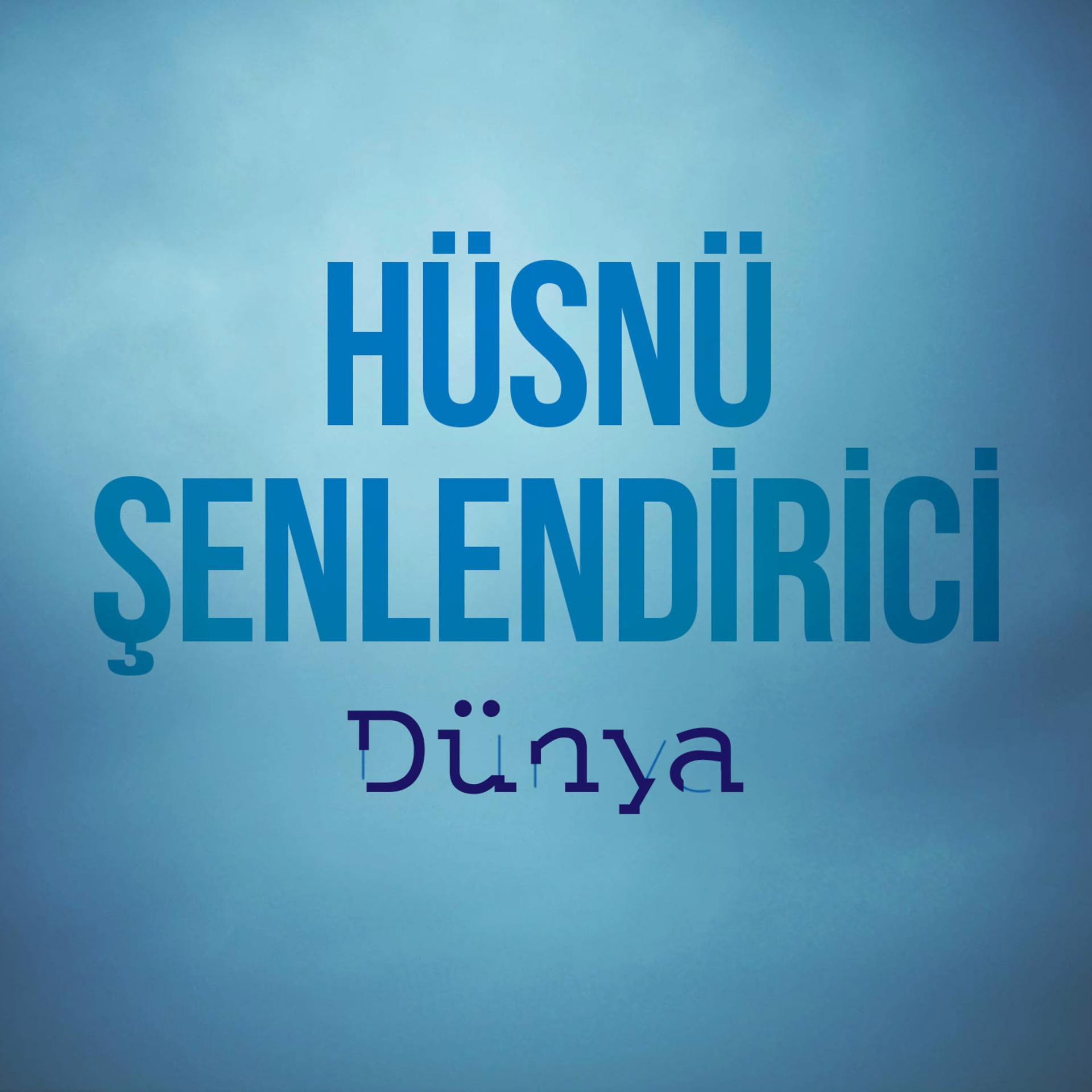 Постер альбома Dünya (Enstrümantal)