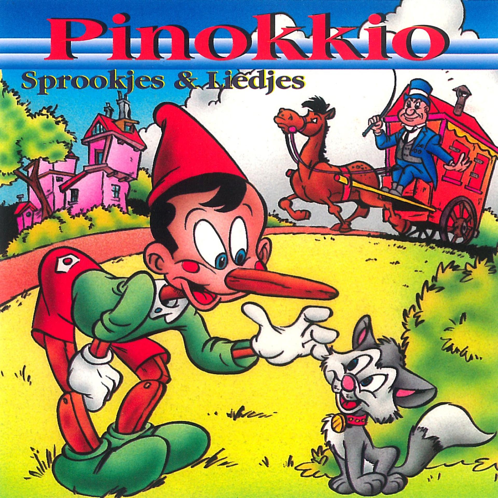 Постер альбома Pinnokio