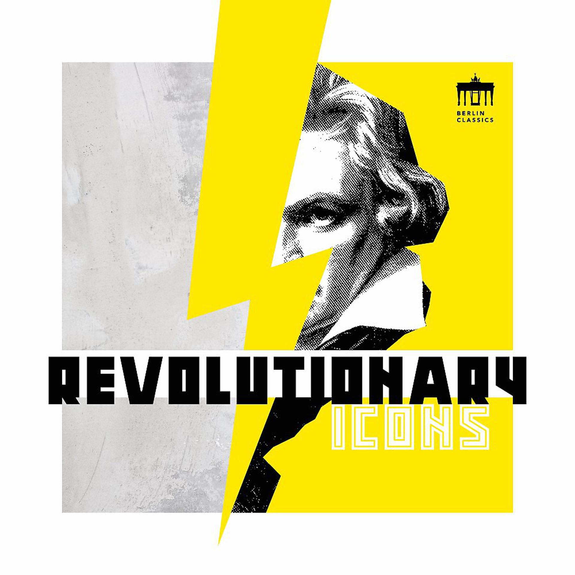 Постер альбома Revolutionary Icons