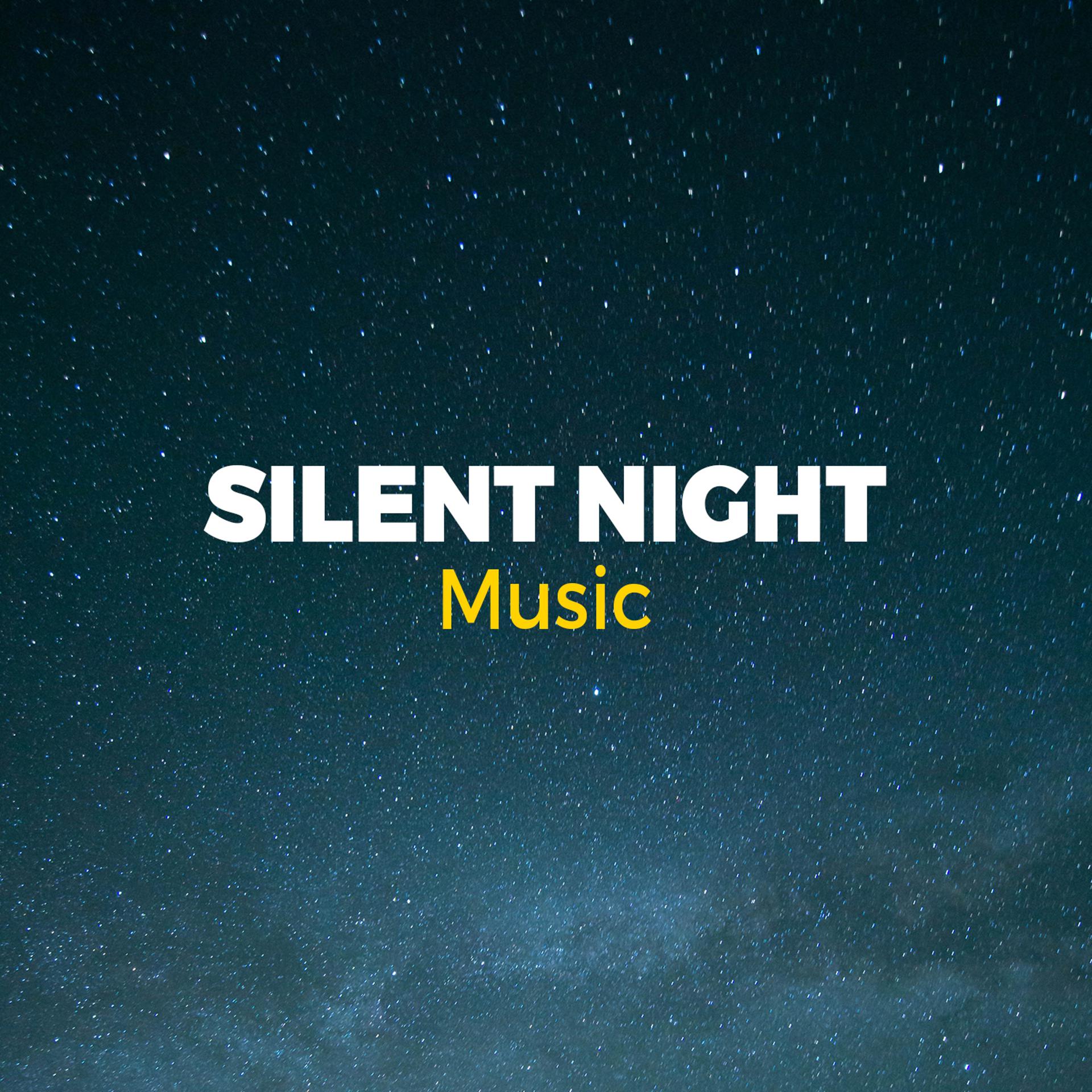 Постер альбома Silent Night Music