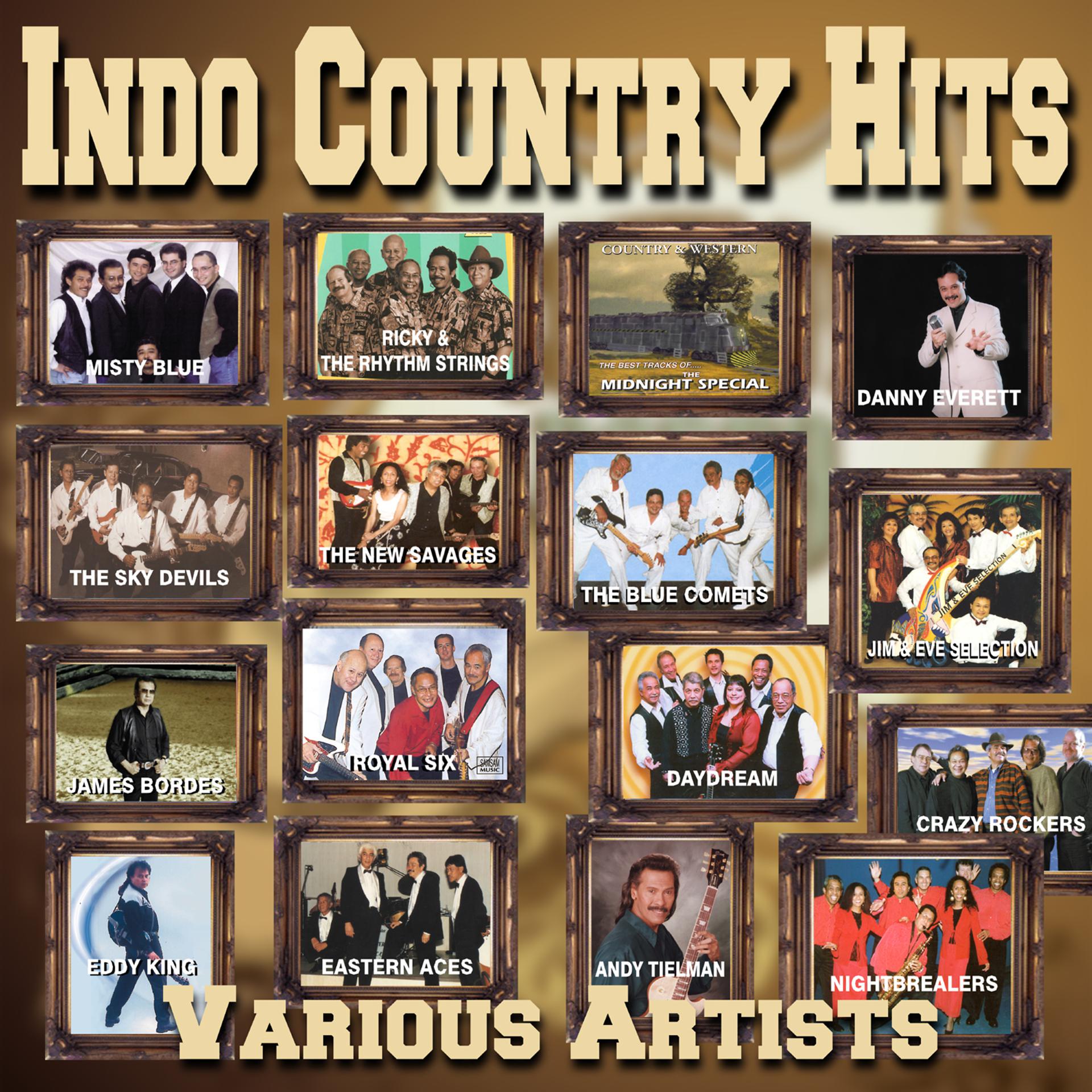 Постер альбома Indo Country Hits