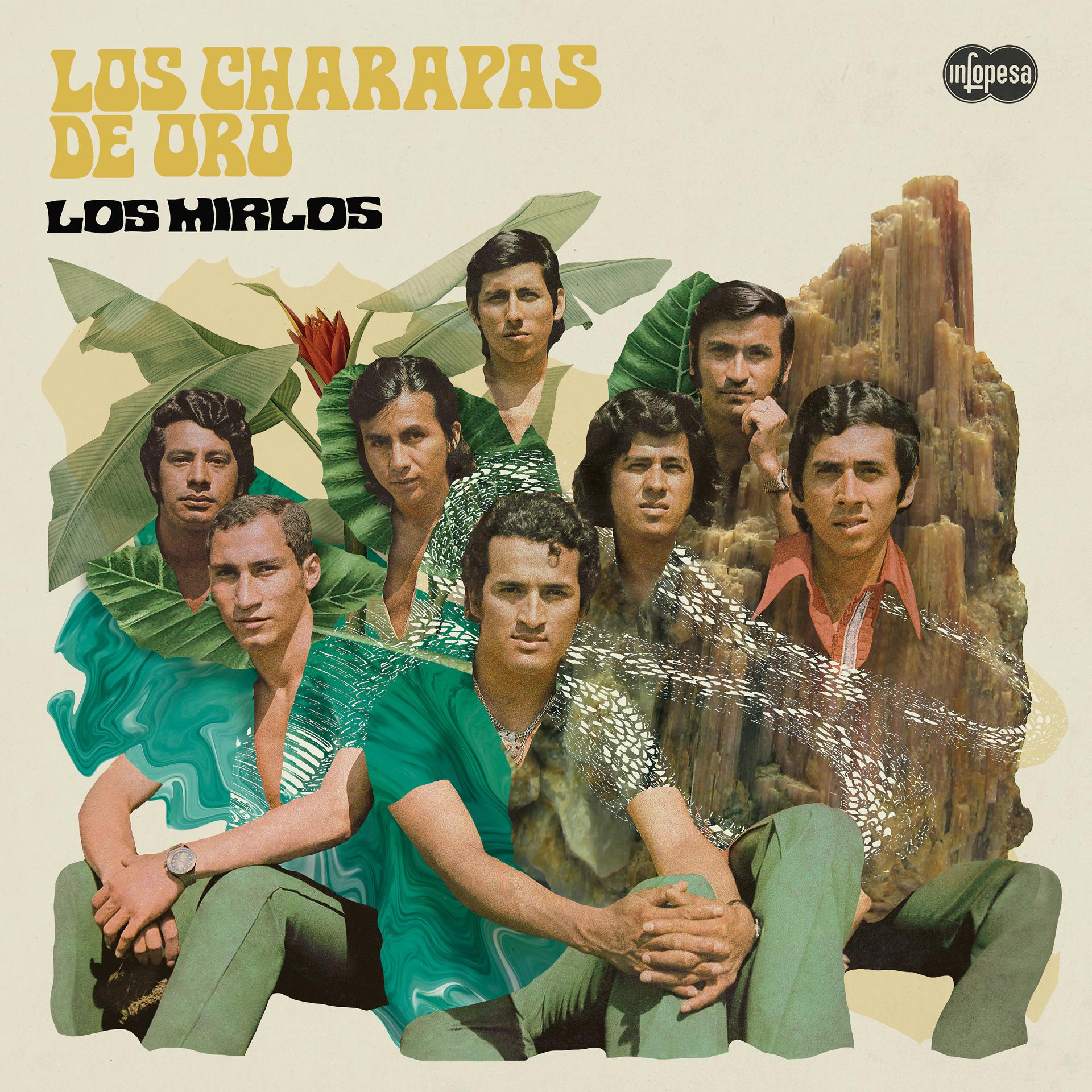 Постер альбома Los Charapas de Oro