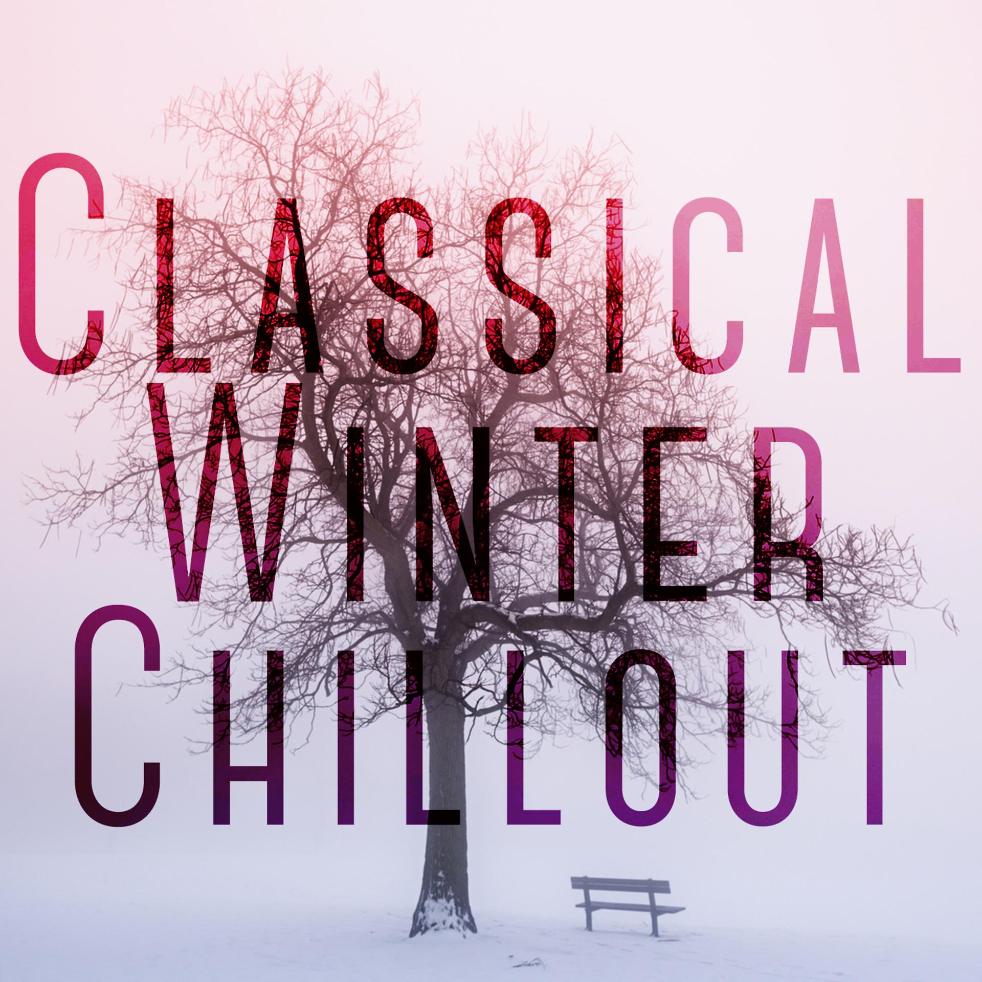 Постер альбома Classical Winter Chillout