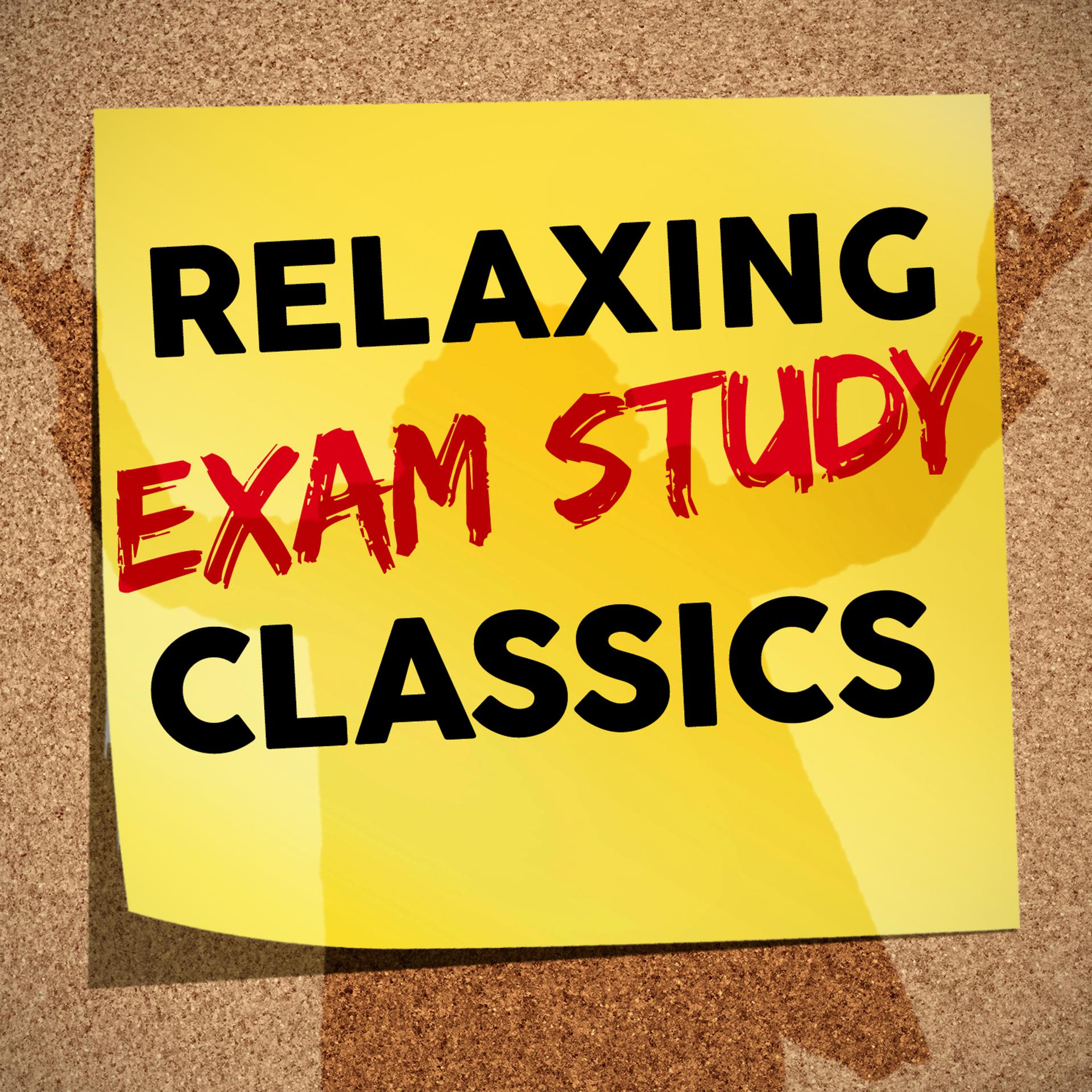 Постер альбома Relaxing Exam Study Classics