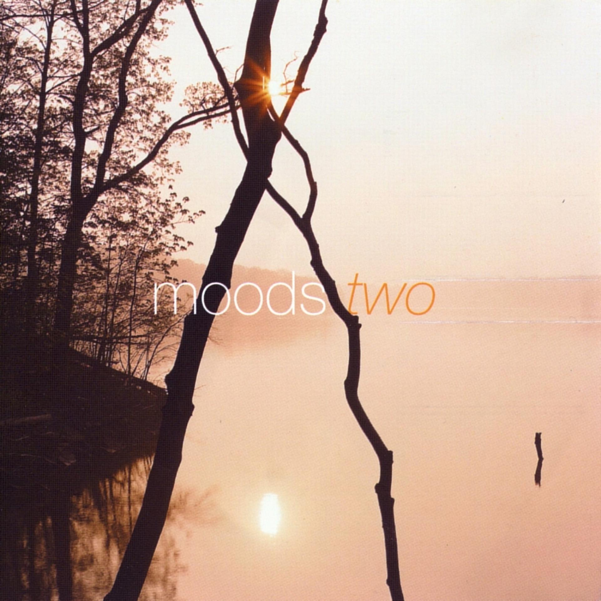 Постер альбома Moods Two