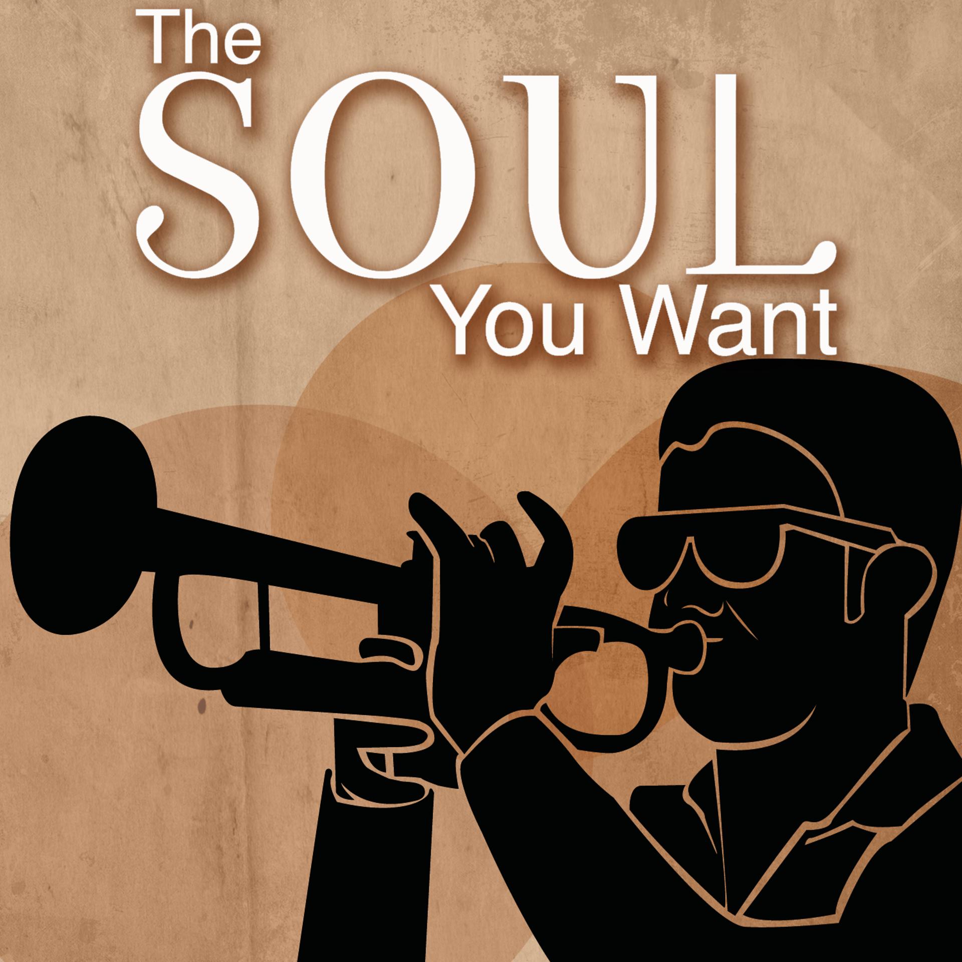 Постер альбома The Soul You Want