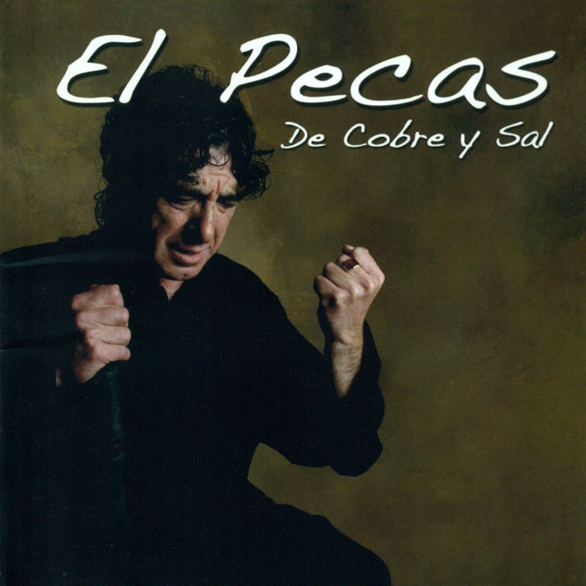 Постер альбома De Cobre y Sal
