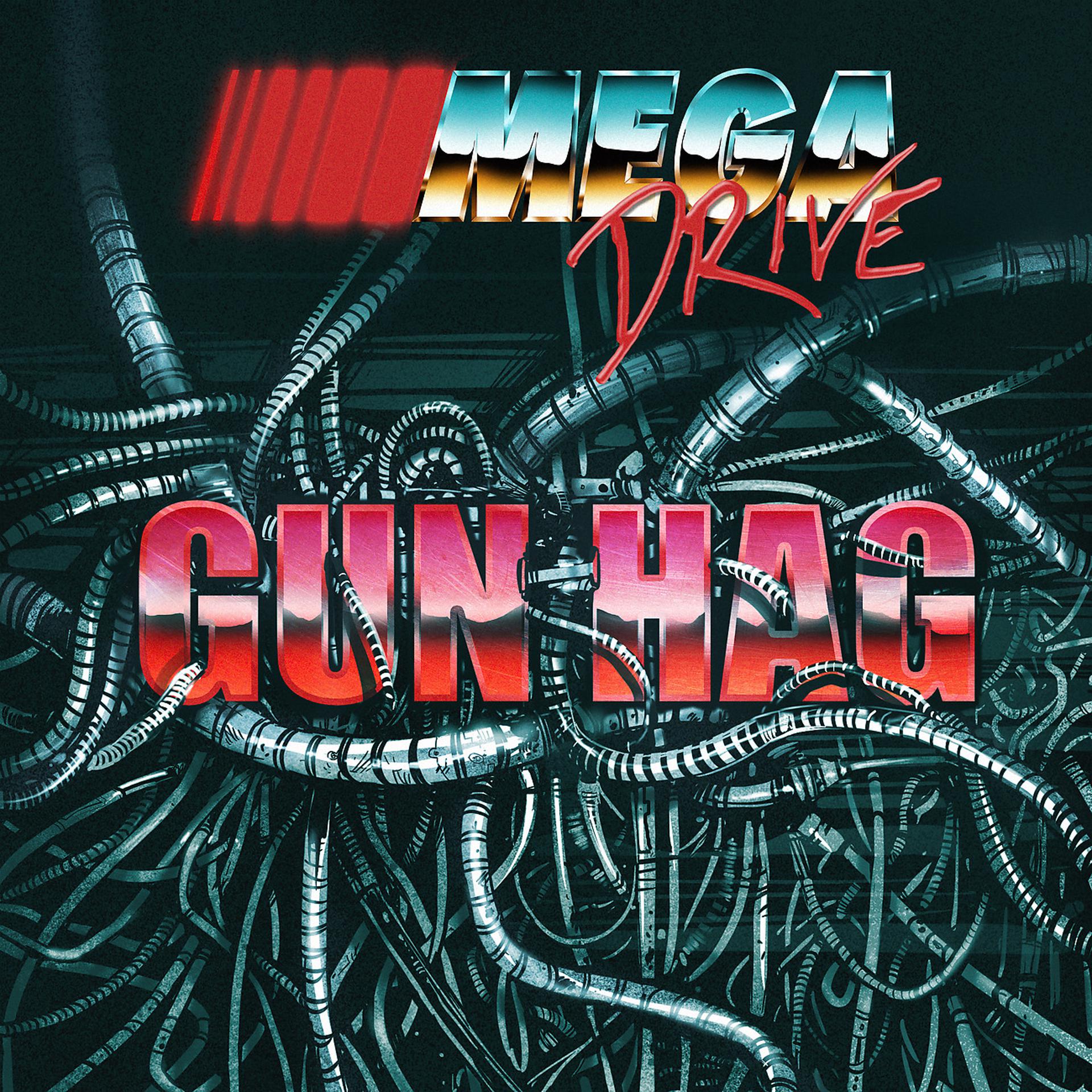Постер альбома Gun Hag