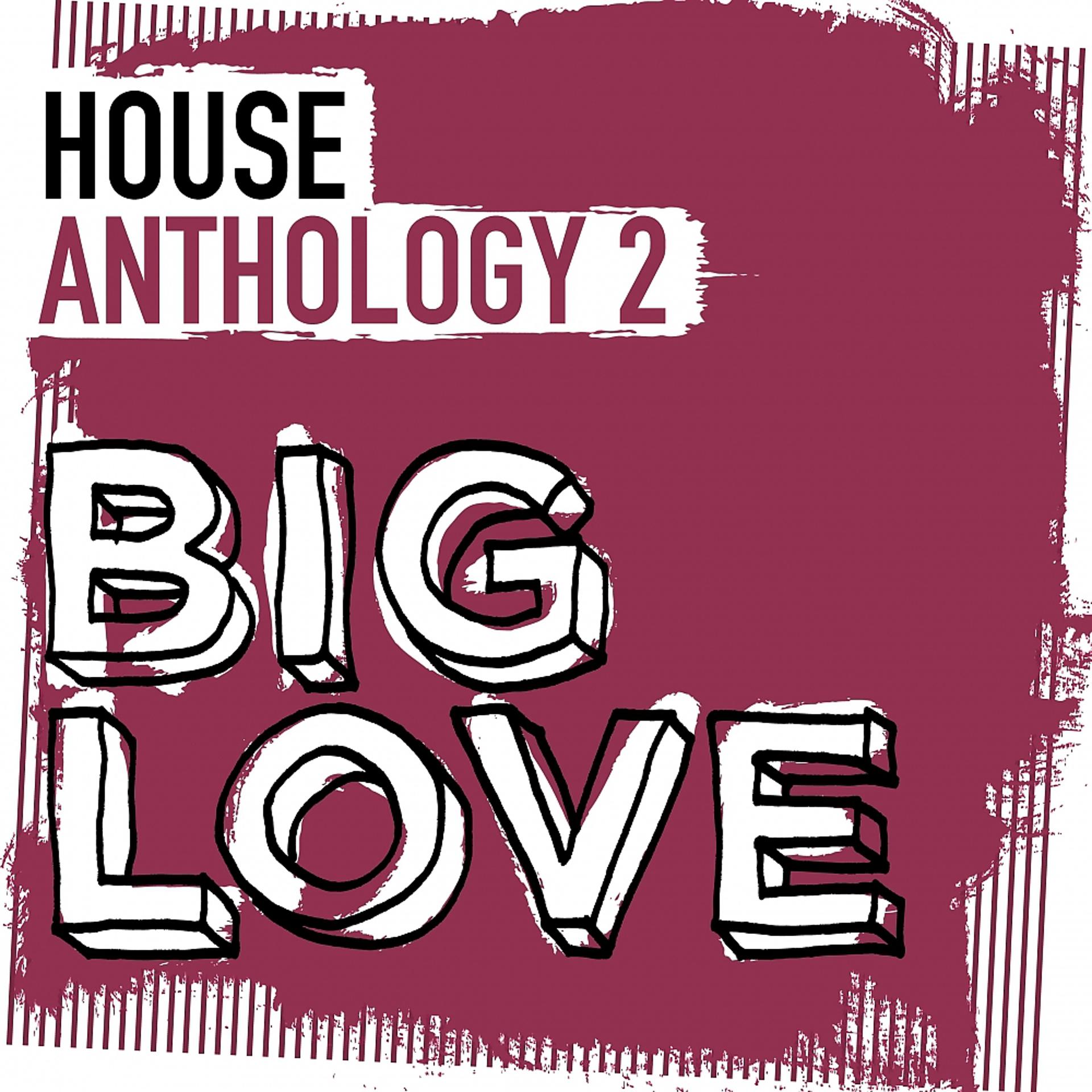 Постер альбома Big Love House Anthology 2