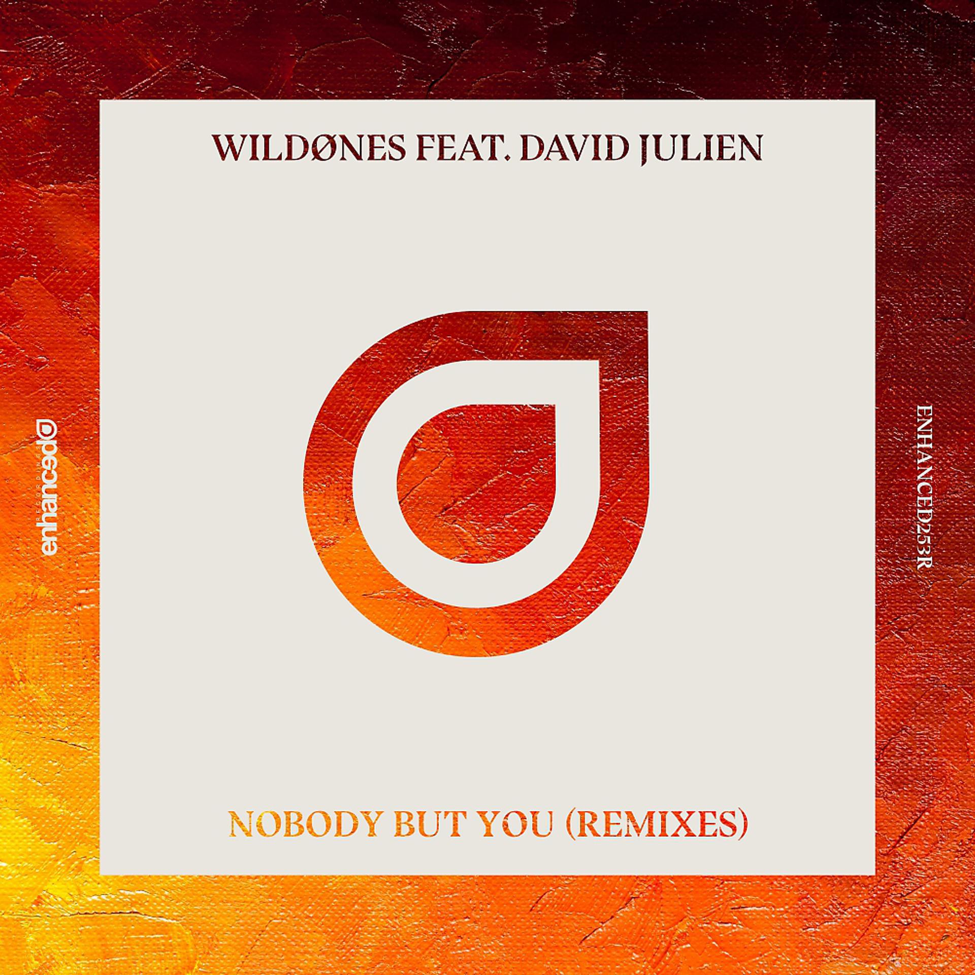 Постер альбома Nobody But You (Remixes)