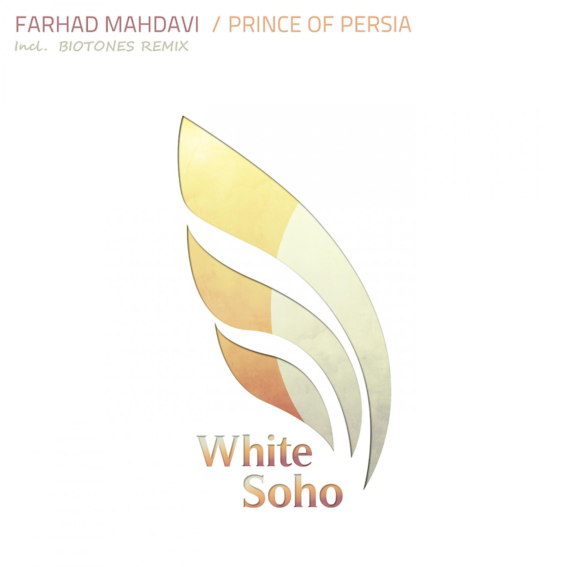Постер альбома Prince Of Persia