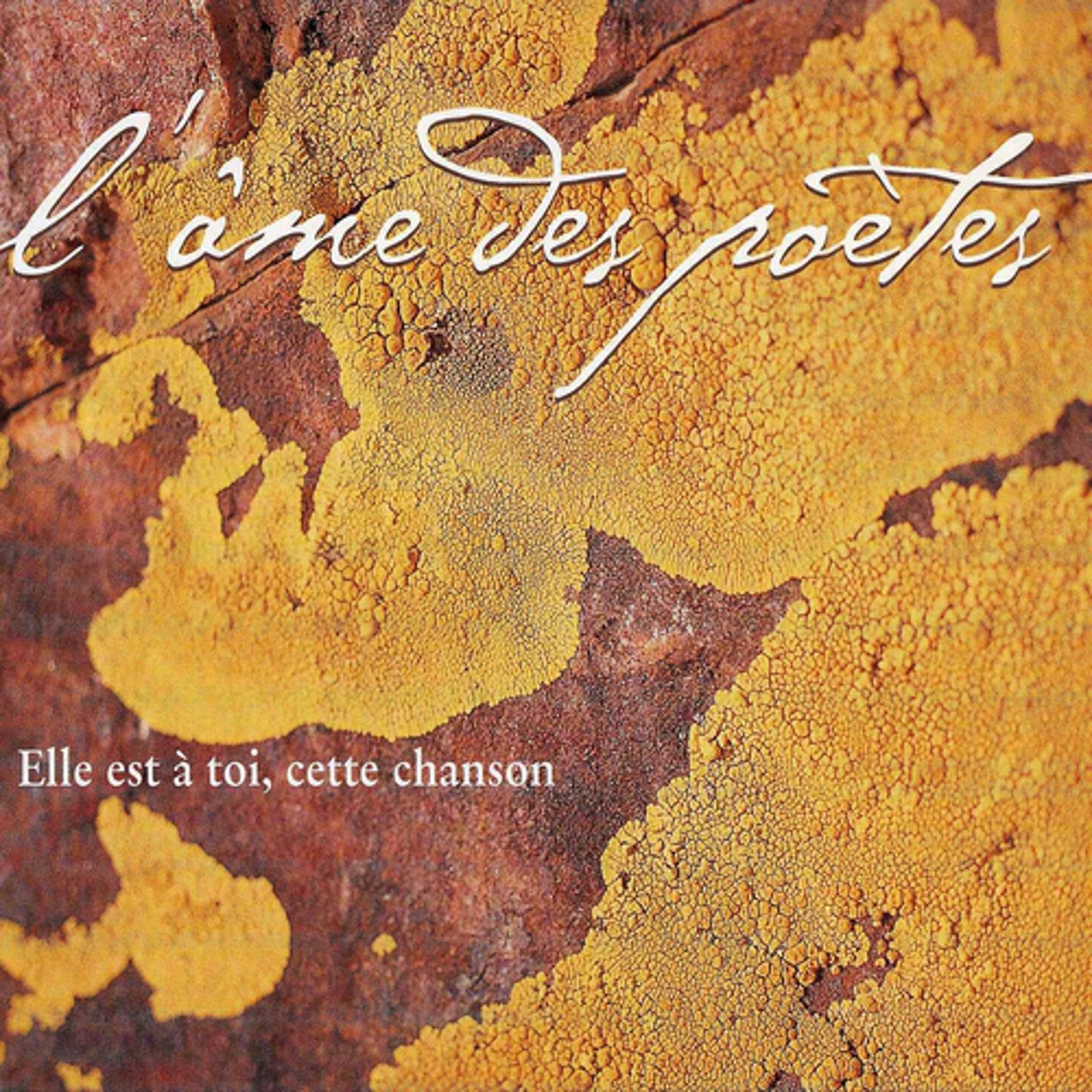 Постер альбома Elle est à toi, cette chanson