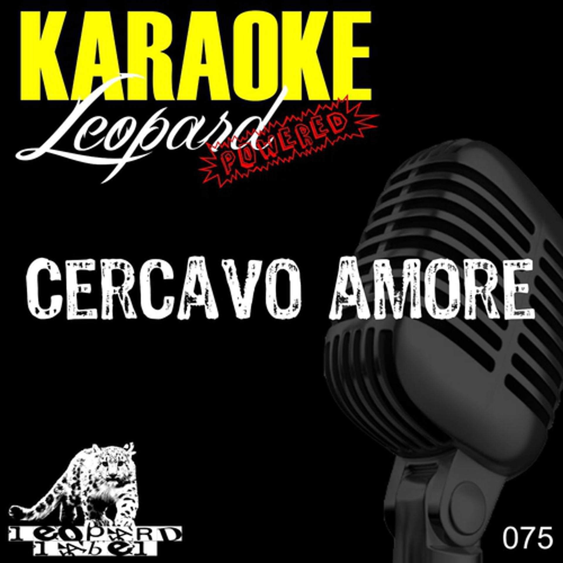Постер альбома Cercavo Amore