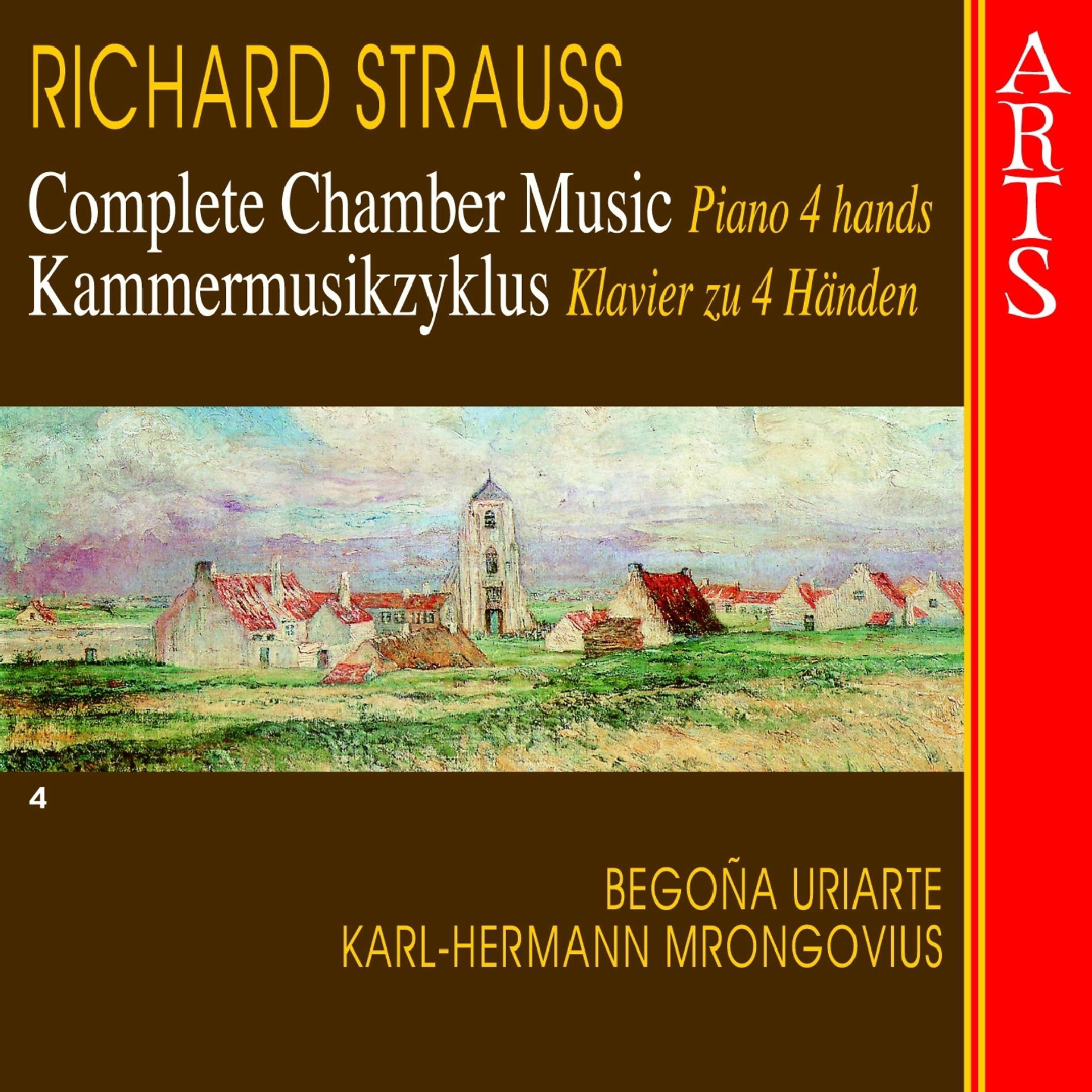 Постер альбома Strauss: Complete Chamber Music, Vol. 4
