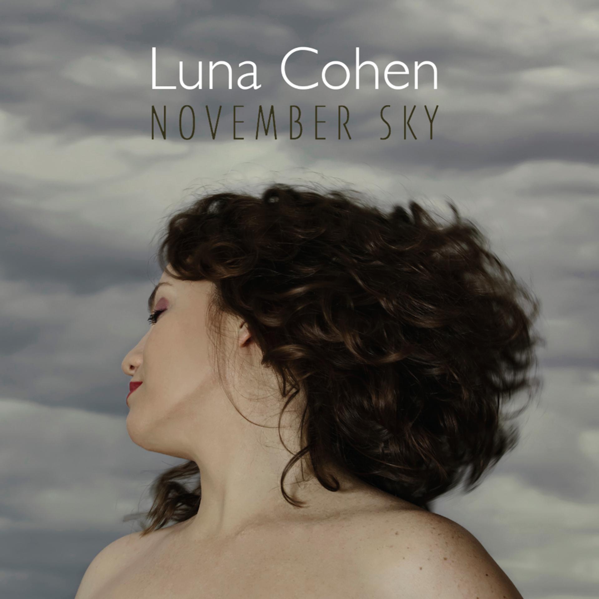 Постер альбома November Sky