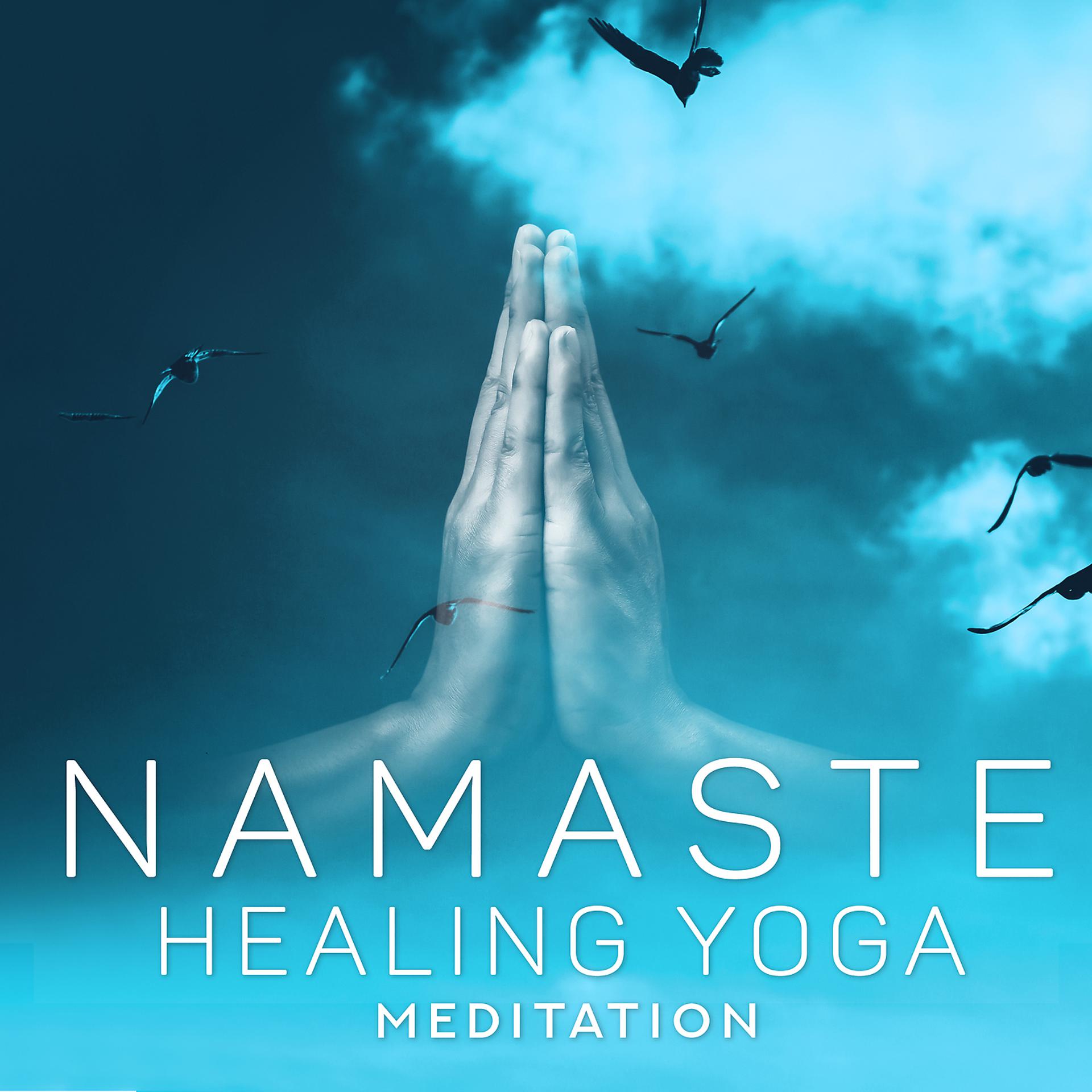 Постер альбома Namaste Healing Yoga - Meditation & Yoga for Flexibility and Balance for Beginners (Relaxing Instrumental Music)