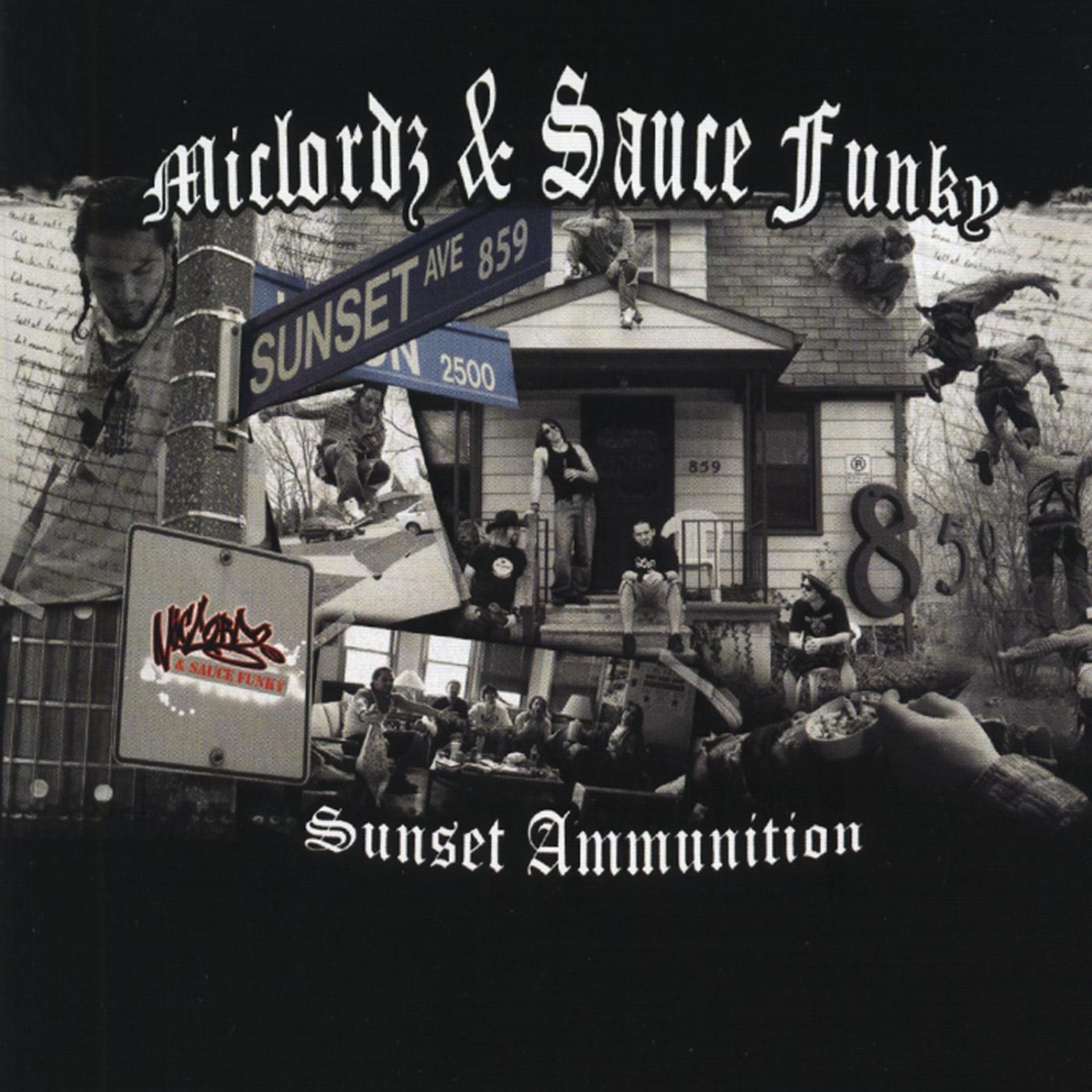 Постер альбома Sunset Ammunition