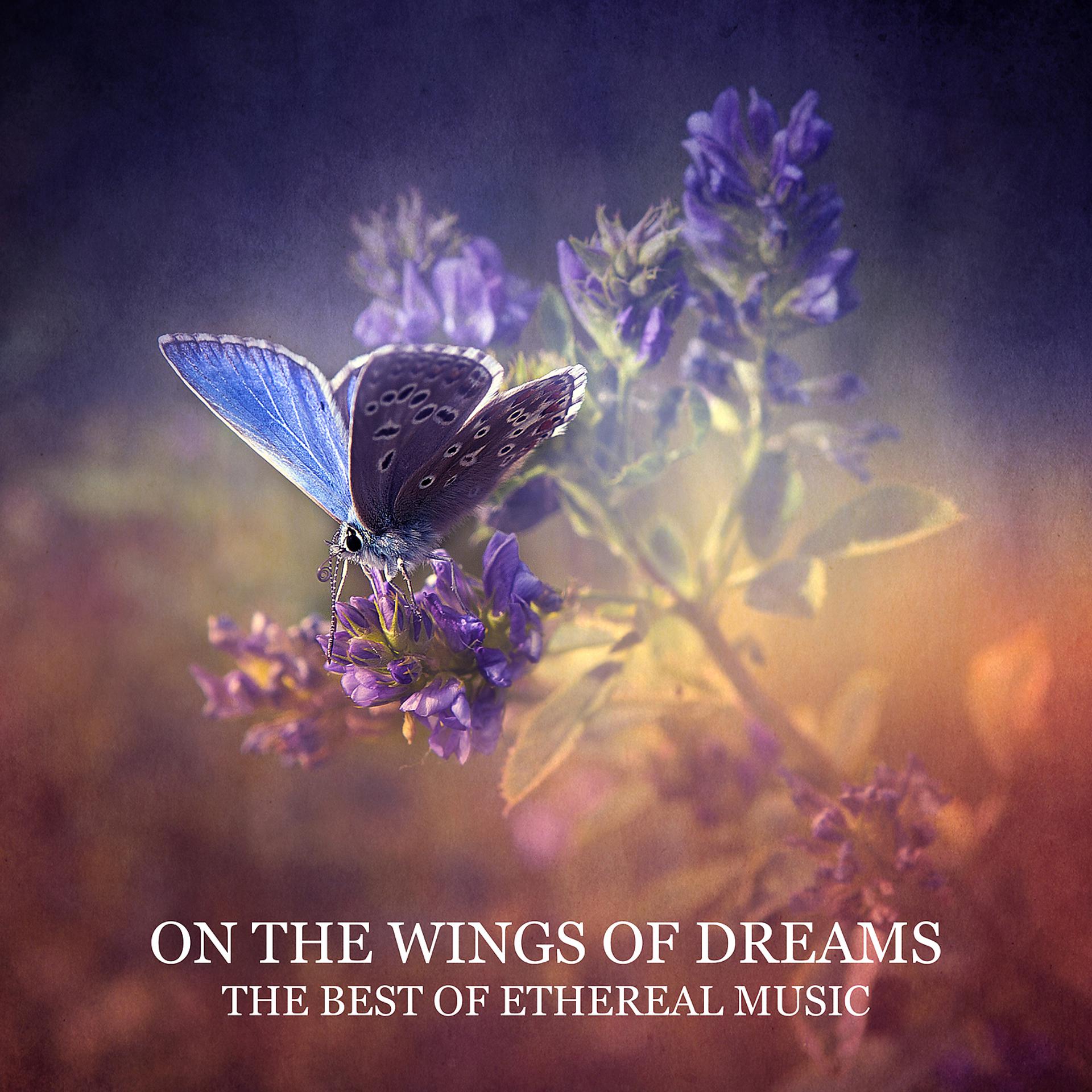 Постер альбома On the Wings of Dreams: The Best of Ethereal Music