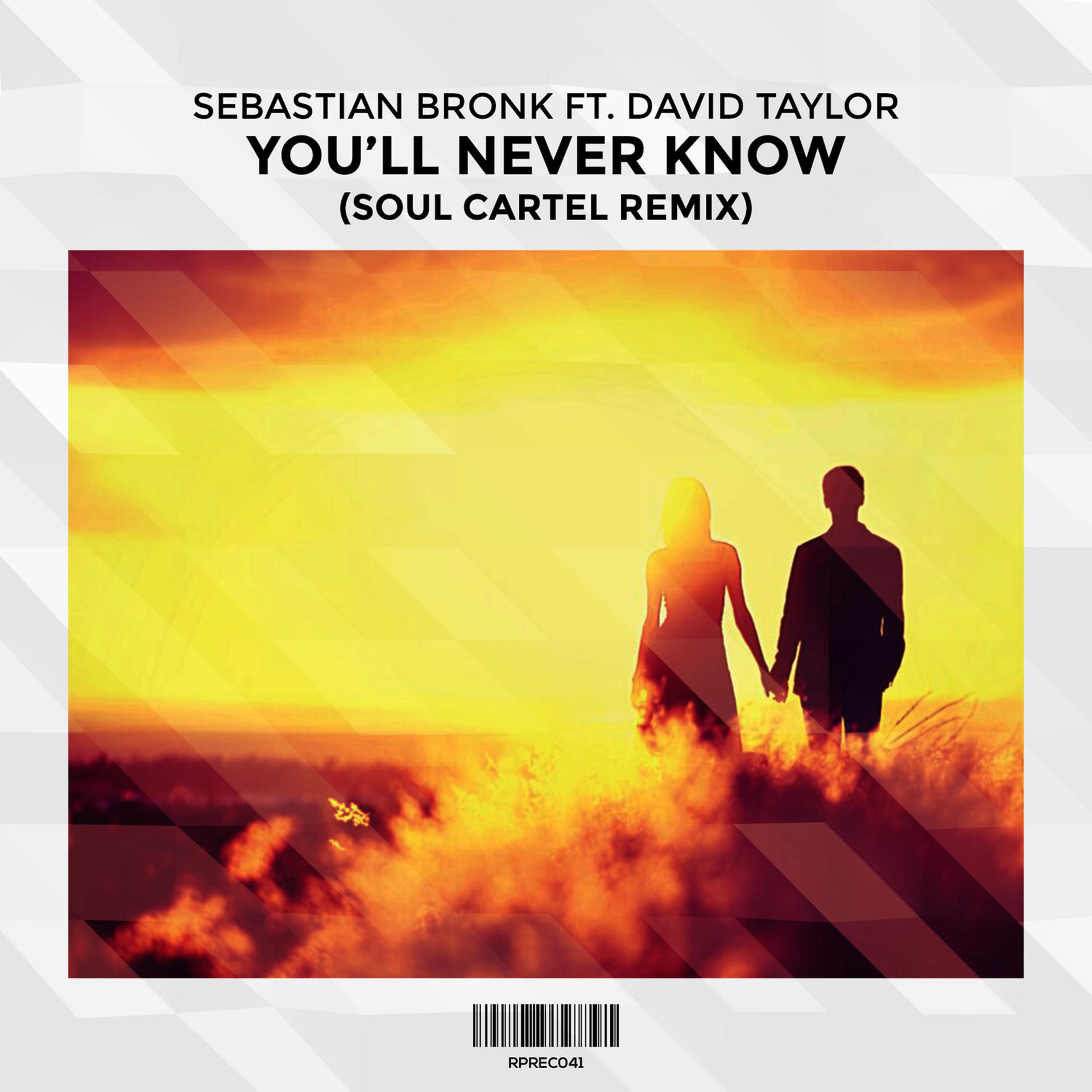 Постер альбома You'll Never Know (Soul Cartel Remix) [feat. David Taylor]