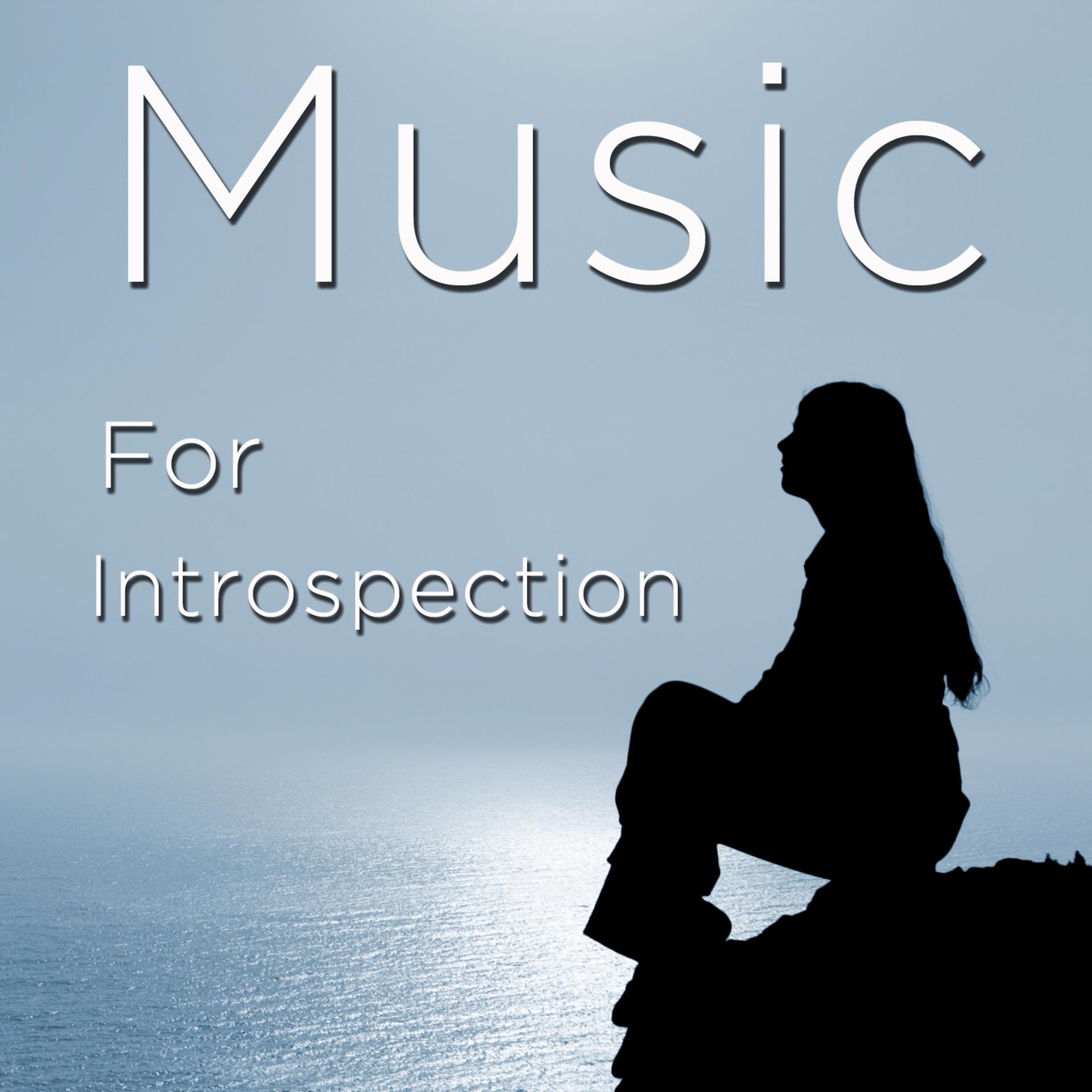 Постер альбома Music for Introspection and Meditation: Relaxing and Calming Songs and Nature Sounds for Exploring Your Soul and Opening Your Mind