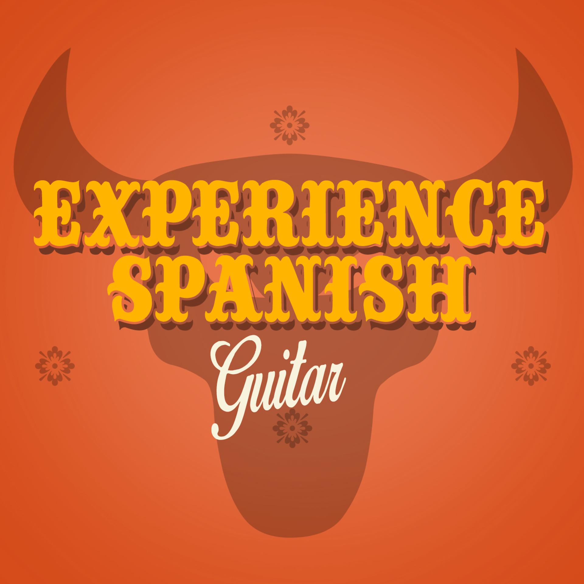 Постер альбома Experience Spanish Guitar