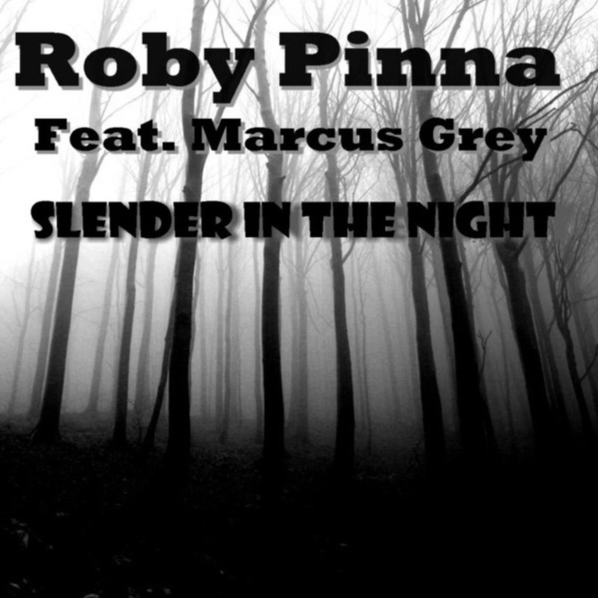 Постер альбома Slender in the Night