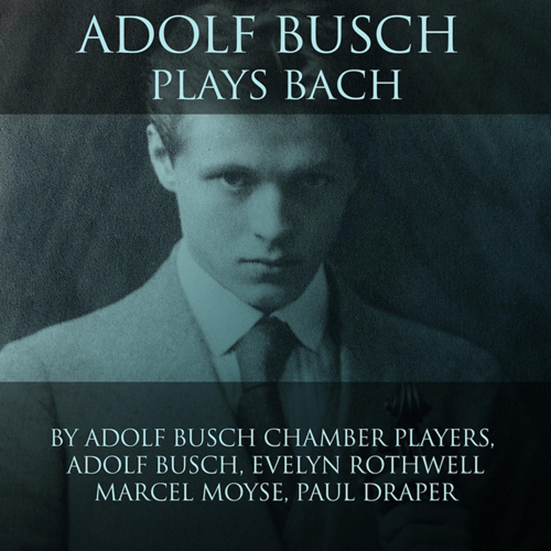 Постер альбома Adolf Busch Plays Bach