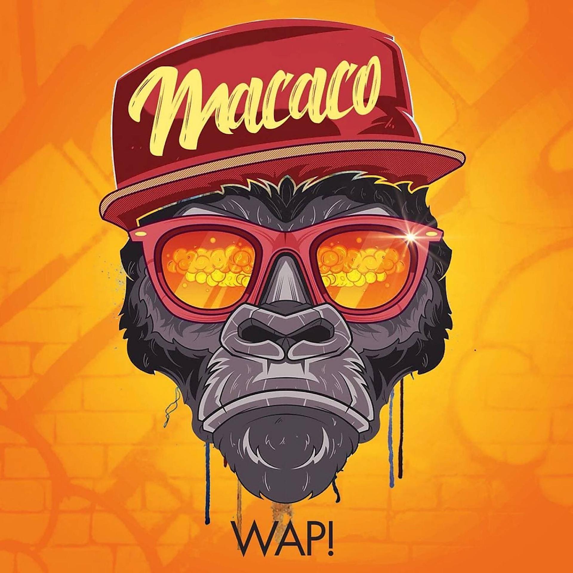 Постер альбома Macaco