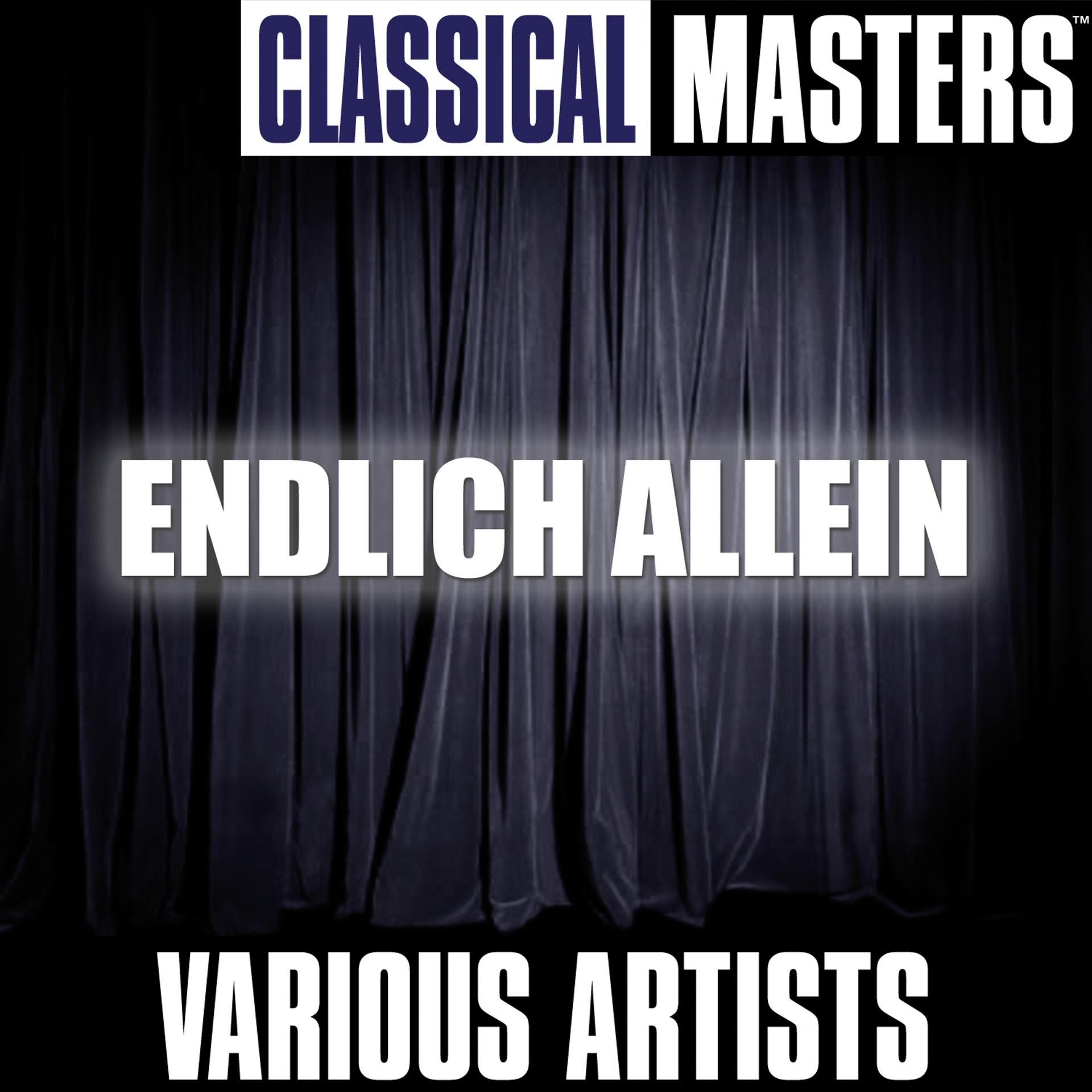 Постер альбома Classical Masters: Endlich Allein