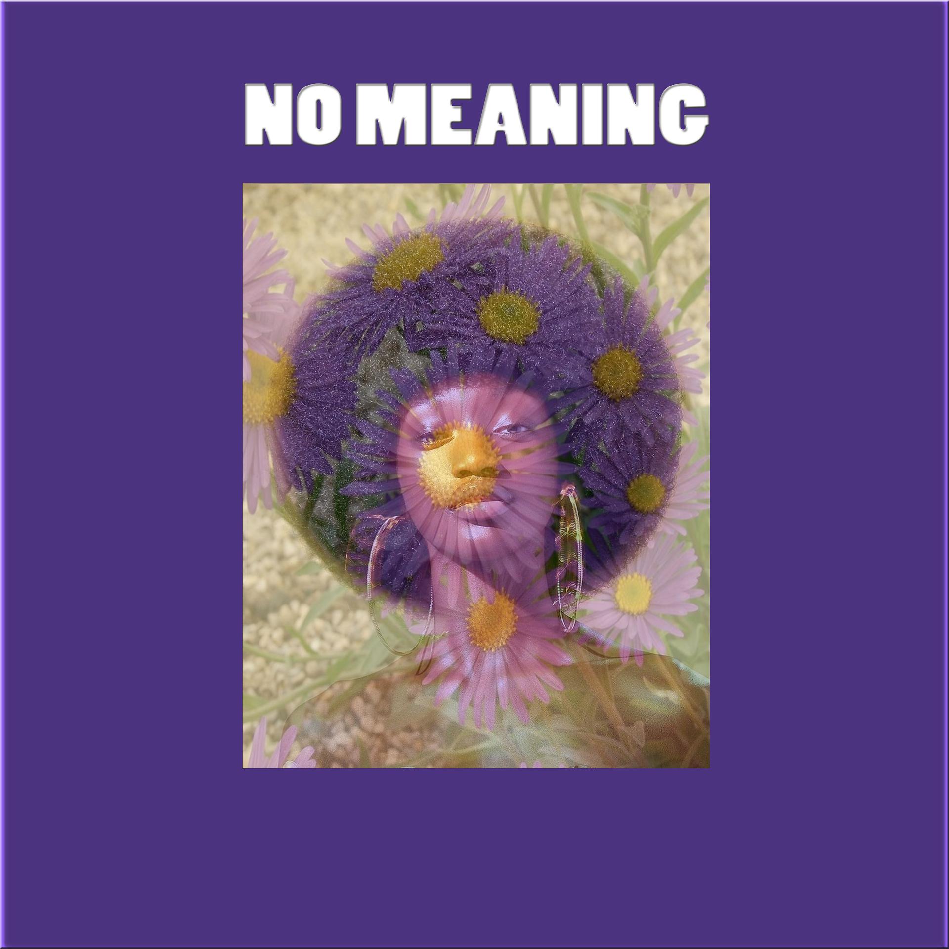 Постер альбома No Meaning