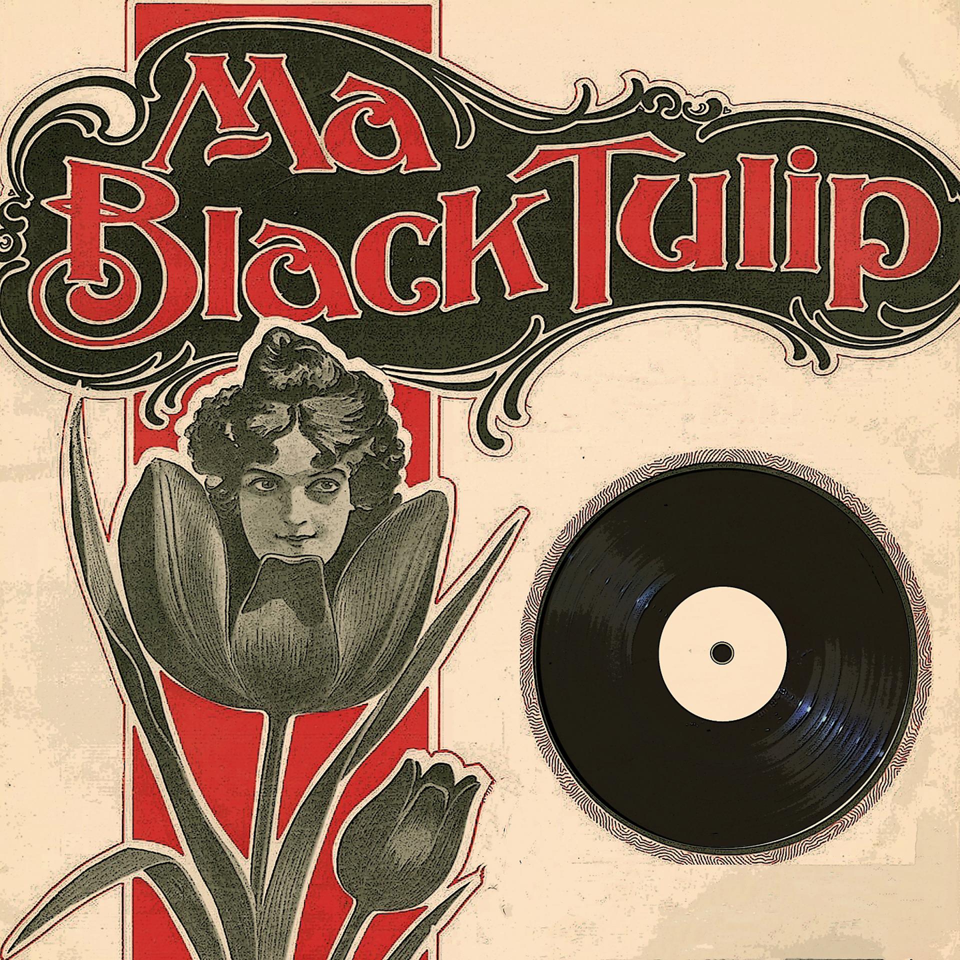 Постер альбома Ma Black Tulip