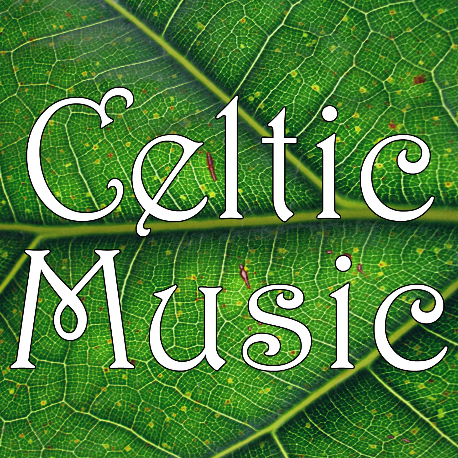 Постер альбома Celtic Music: Irish & Celtic Folk Moods Collection