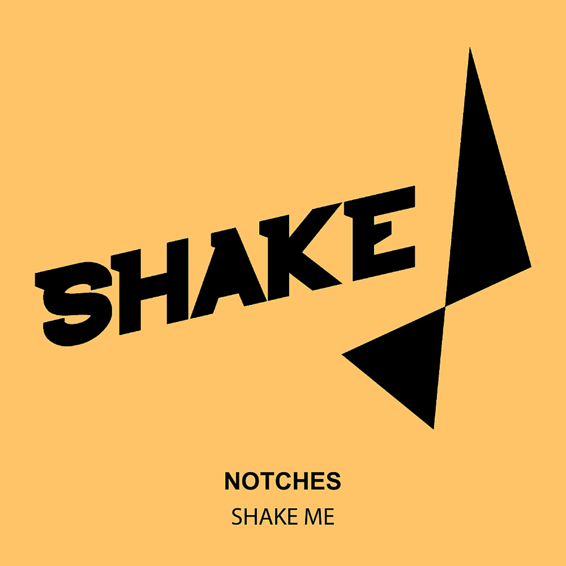 Постер альбома Shake Me
