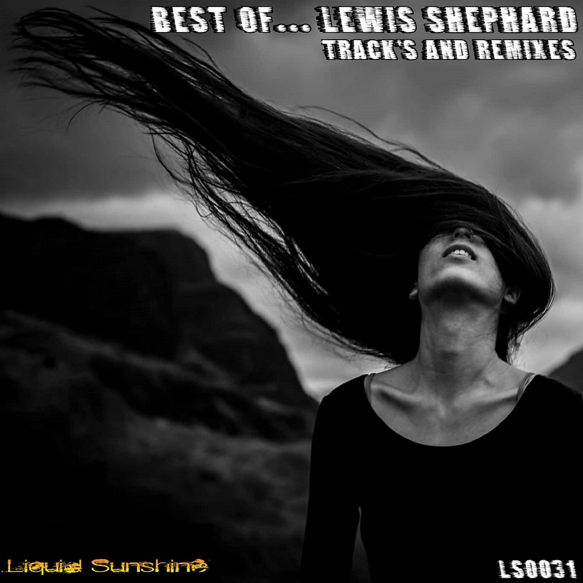 Постер альбома Best of Lewis Shephard