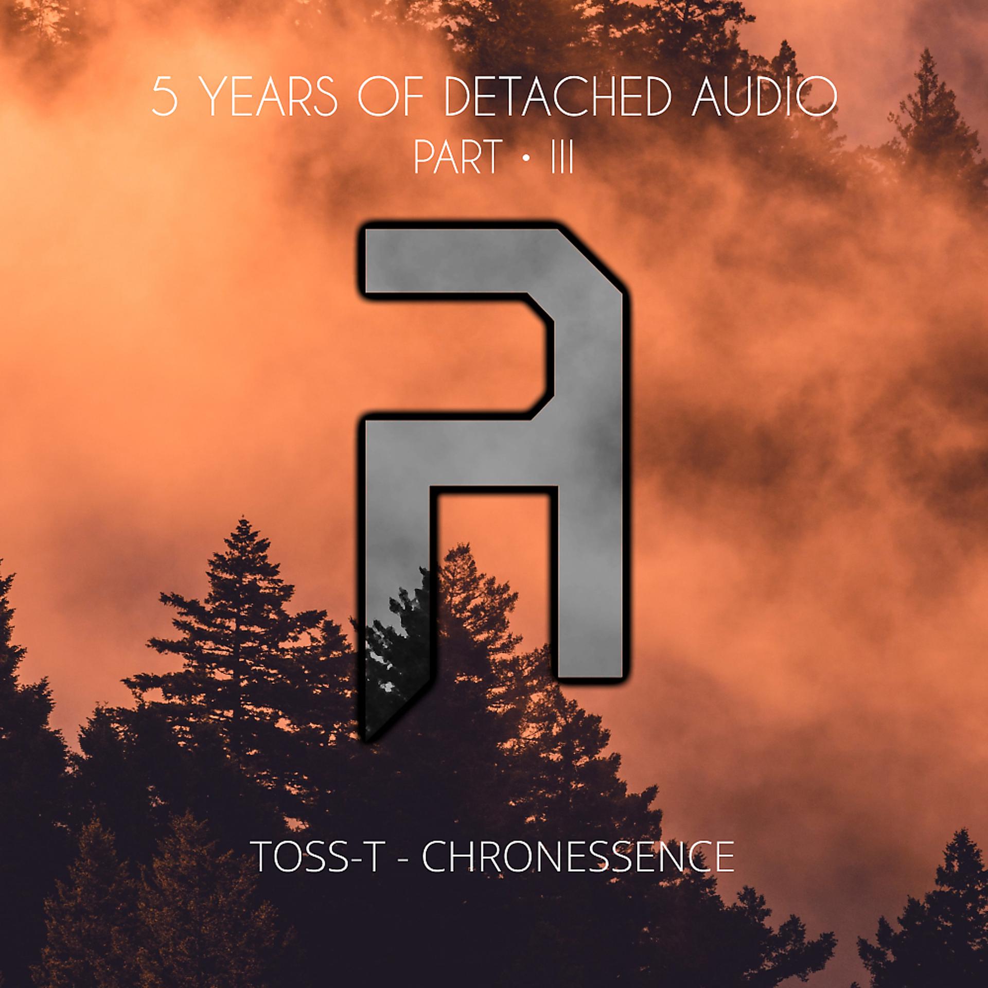 Постер альбома Chronessence