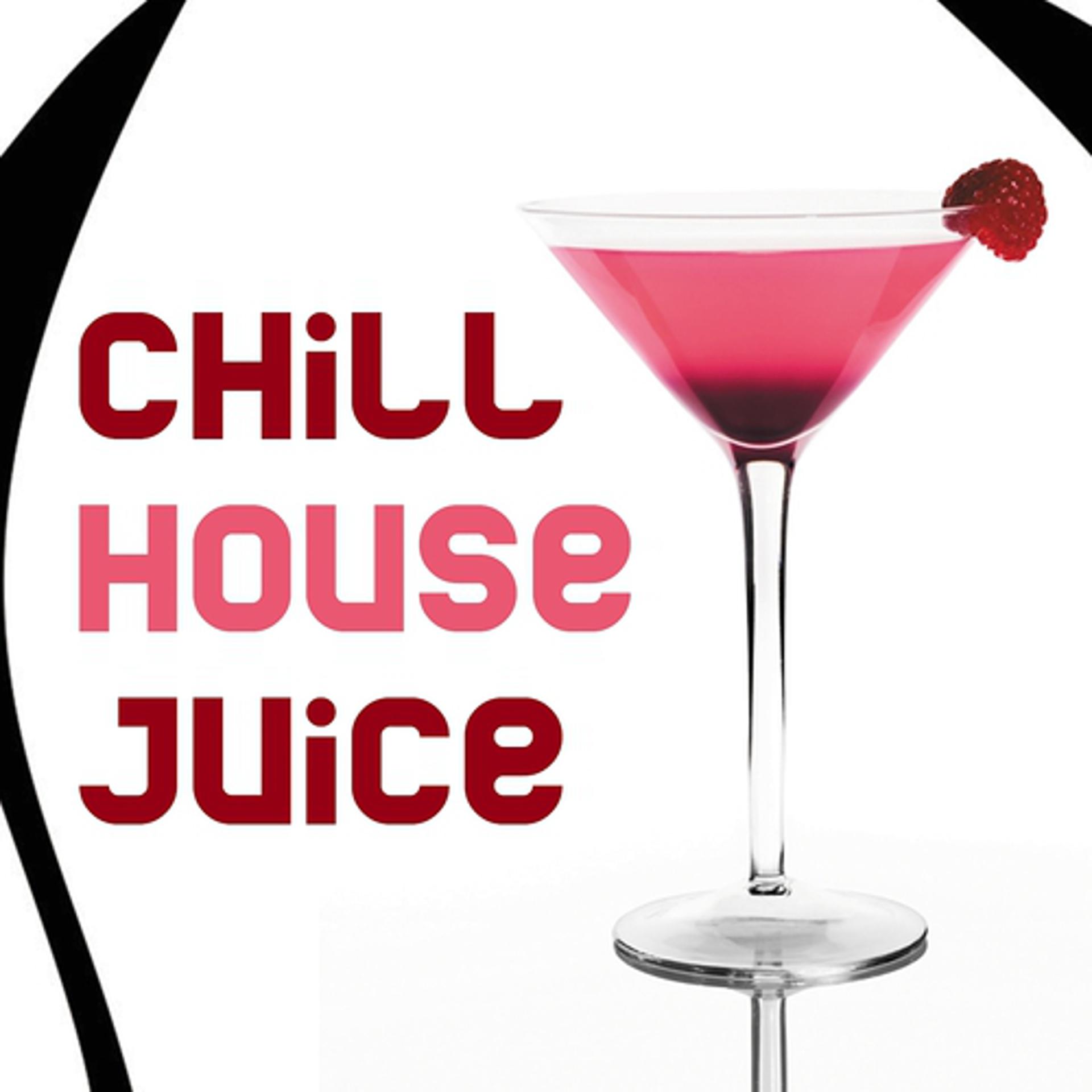 Постер альбома Chill House Juice