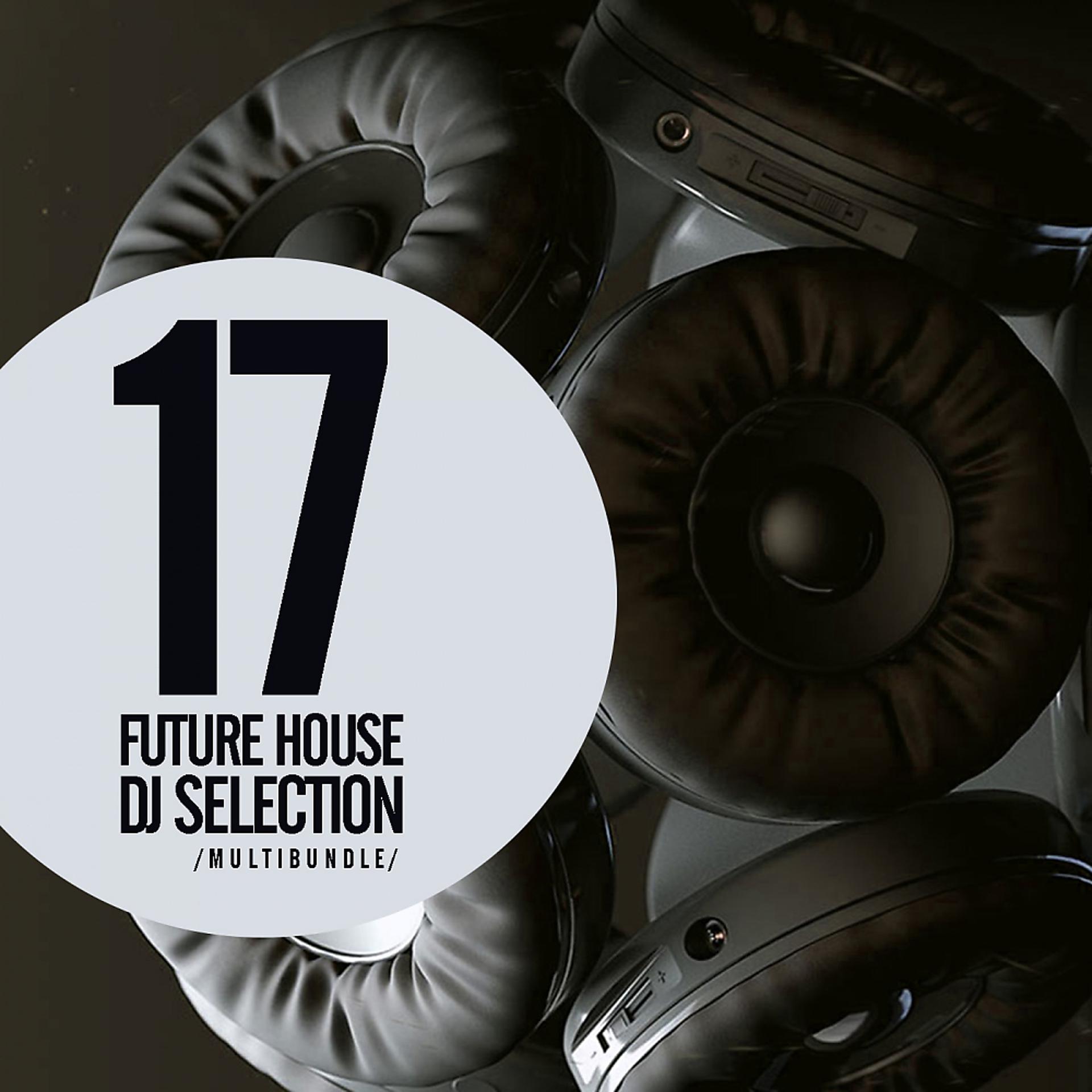 Постер альбома 17 Future House DJ Selection Multibundle