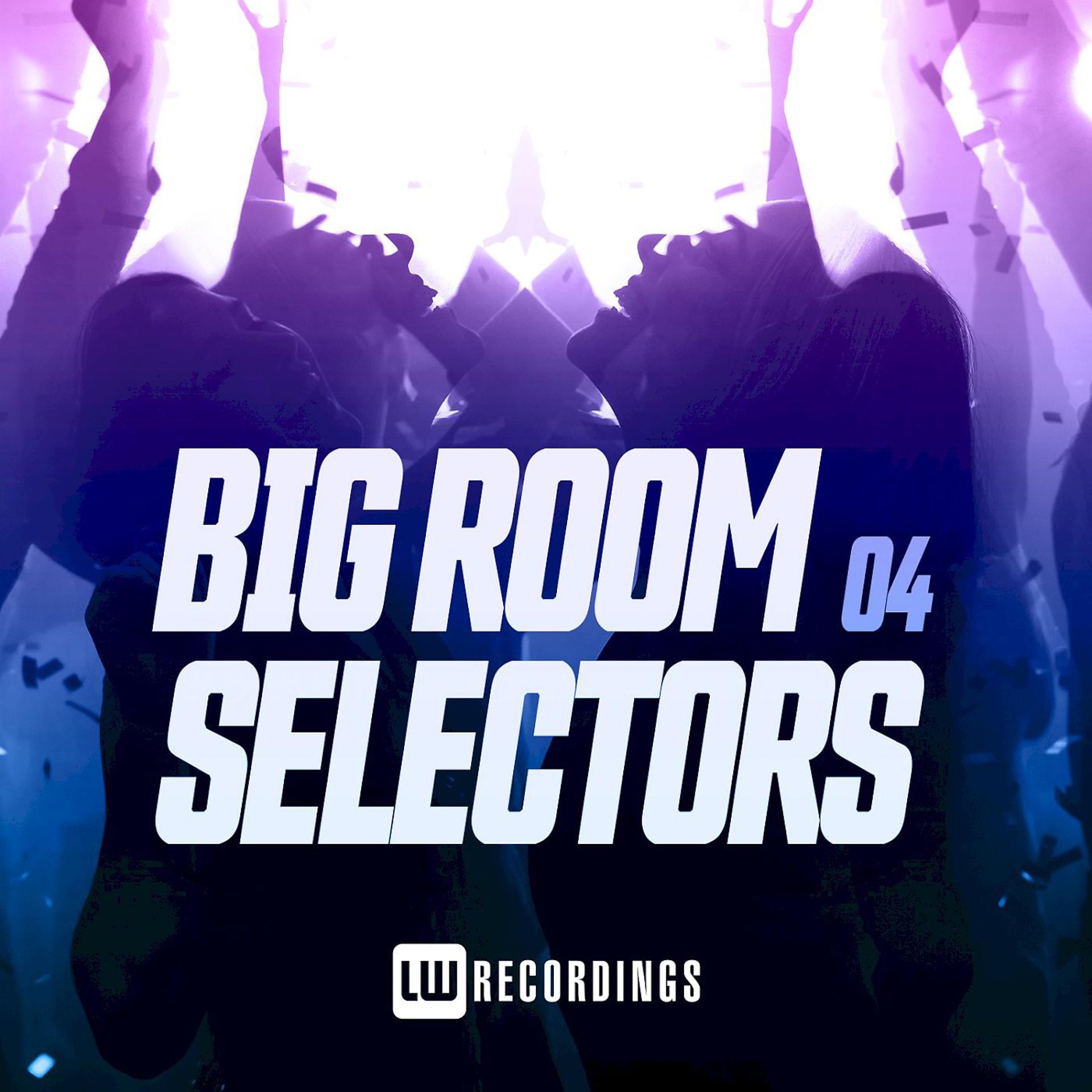 Постер альбома Big Room Selectors, 04