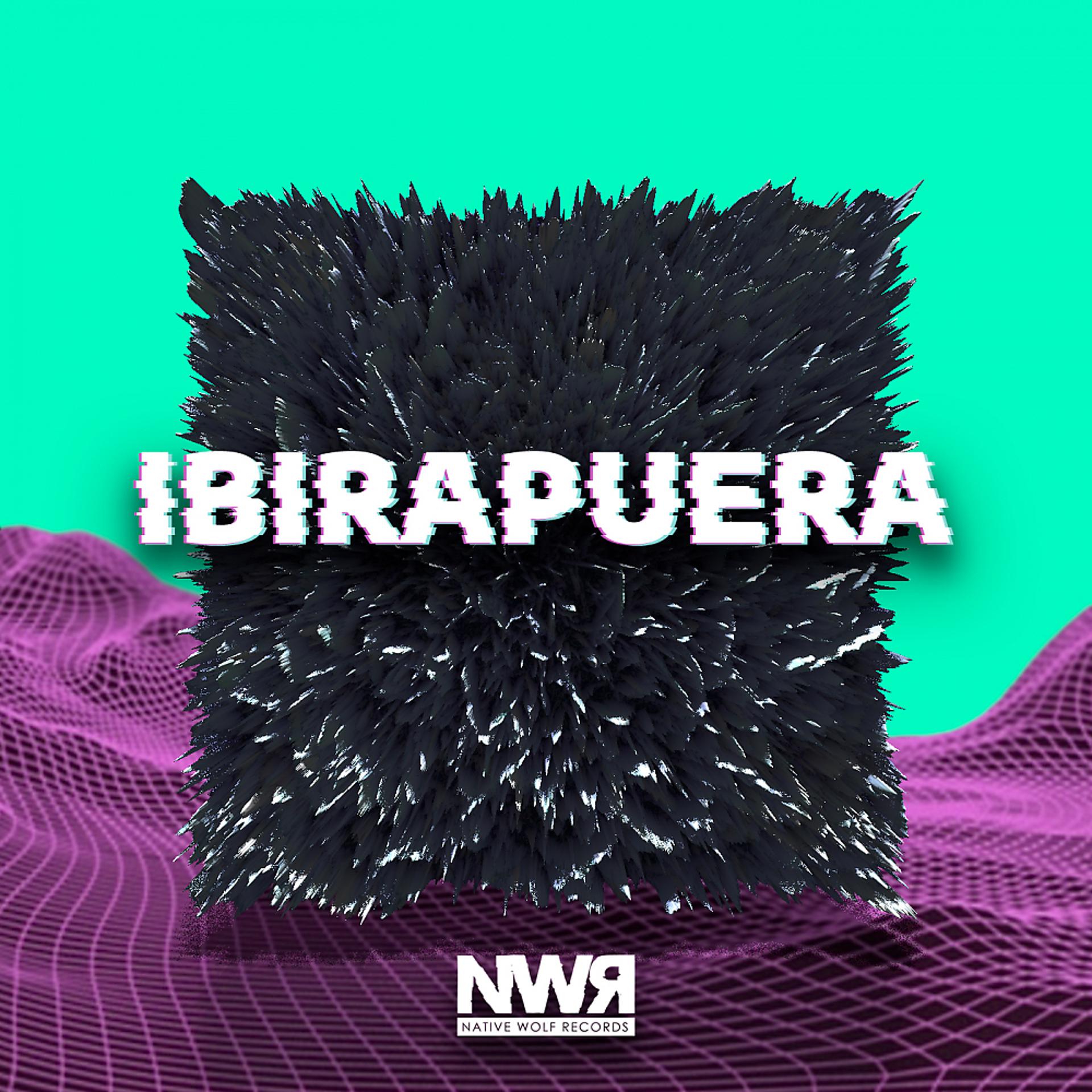 Постер альбома Ibirapuera