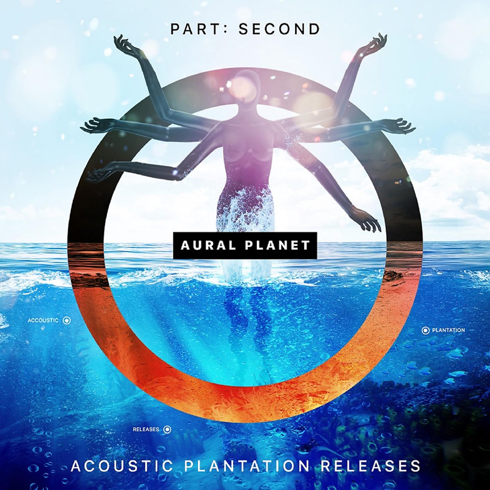 Постер альбома Part Second & Acoustic Plantation Releases